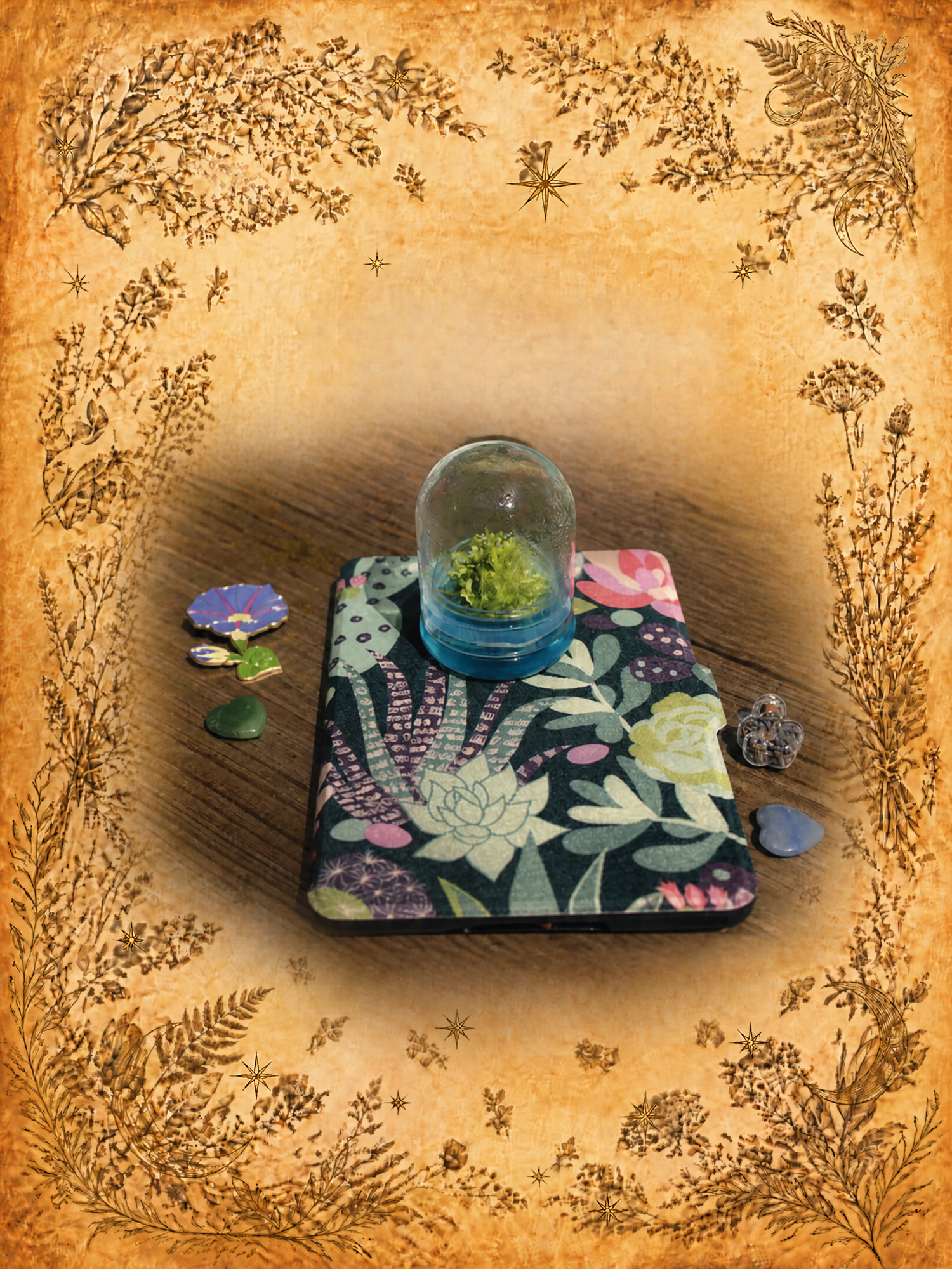 The Seasonal Plant Allies Almanac ~ A Personalized Seasonal Reading in a Newsletter