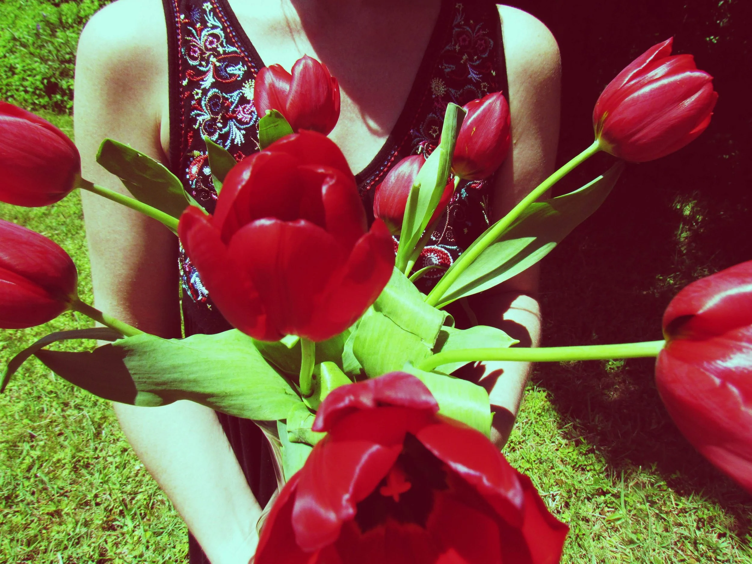 The Green Hearth Witch The Saint Bridget Witchcraft Mini Field Guide