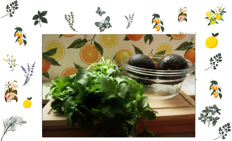 A bowl of avocados, a cilantro bunch, and citrus fruit wallpaper