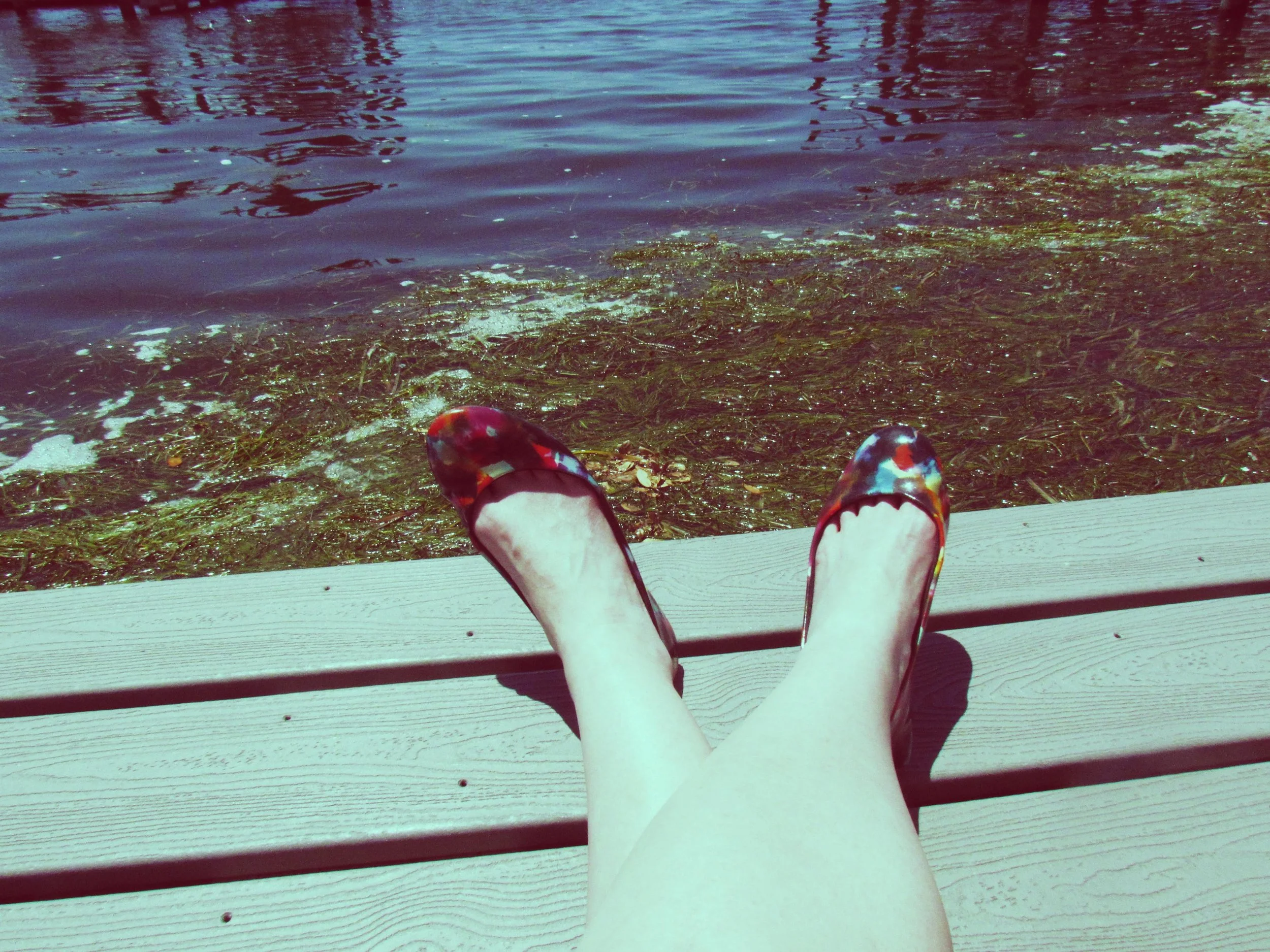 A woman sitting on the dock of the bay with seagrass in the water