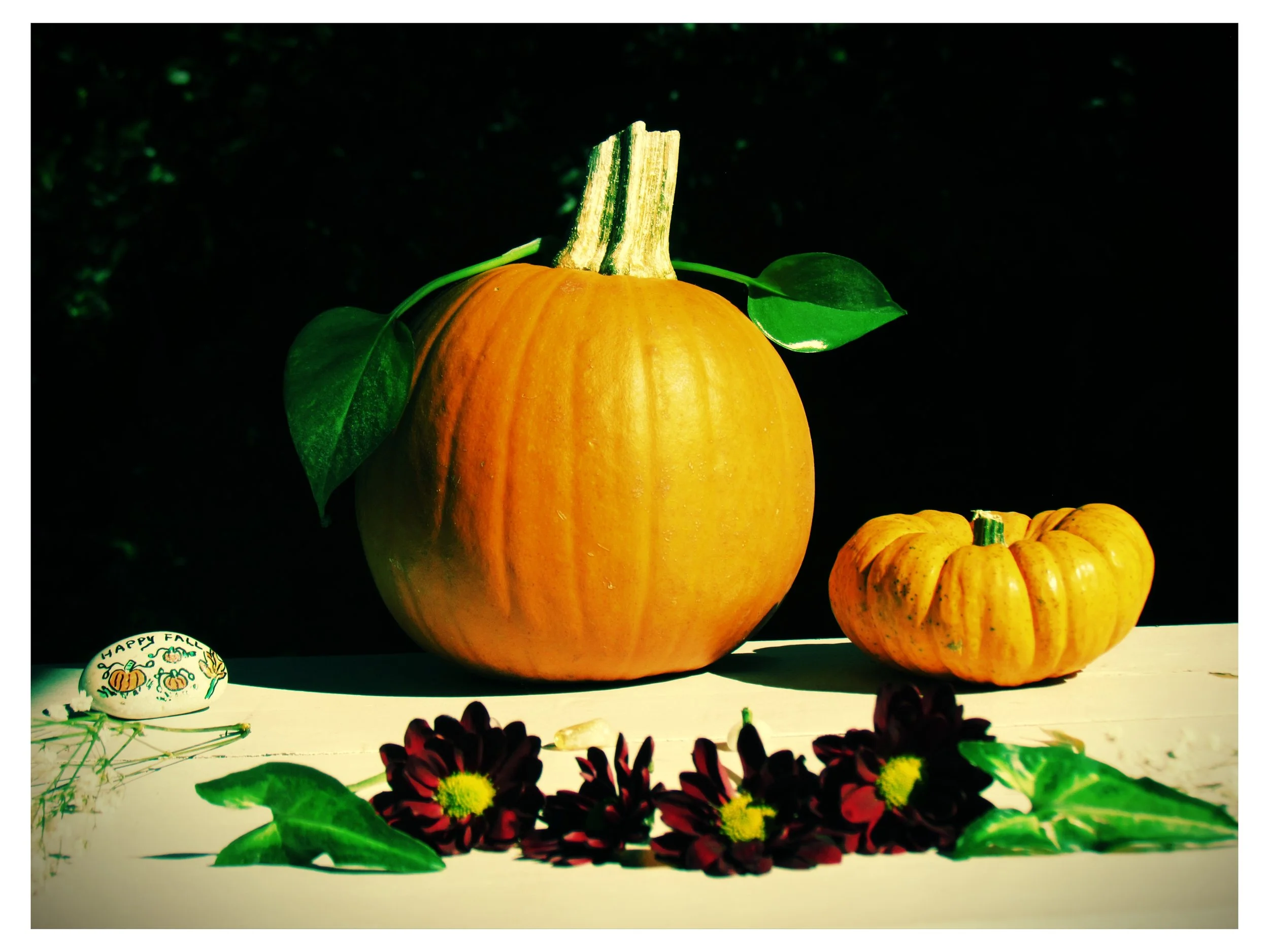 orange pumpkins set in a beautiful display with red flowers during the Halloween holiday season