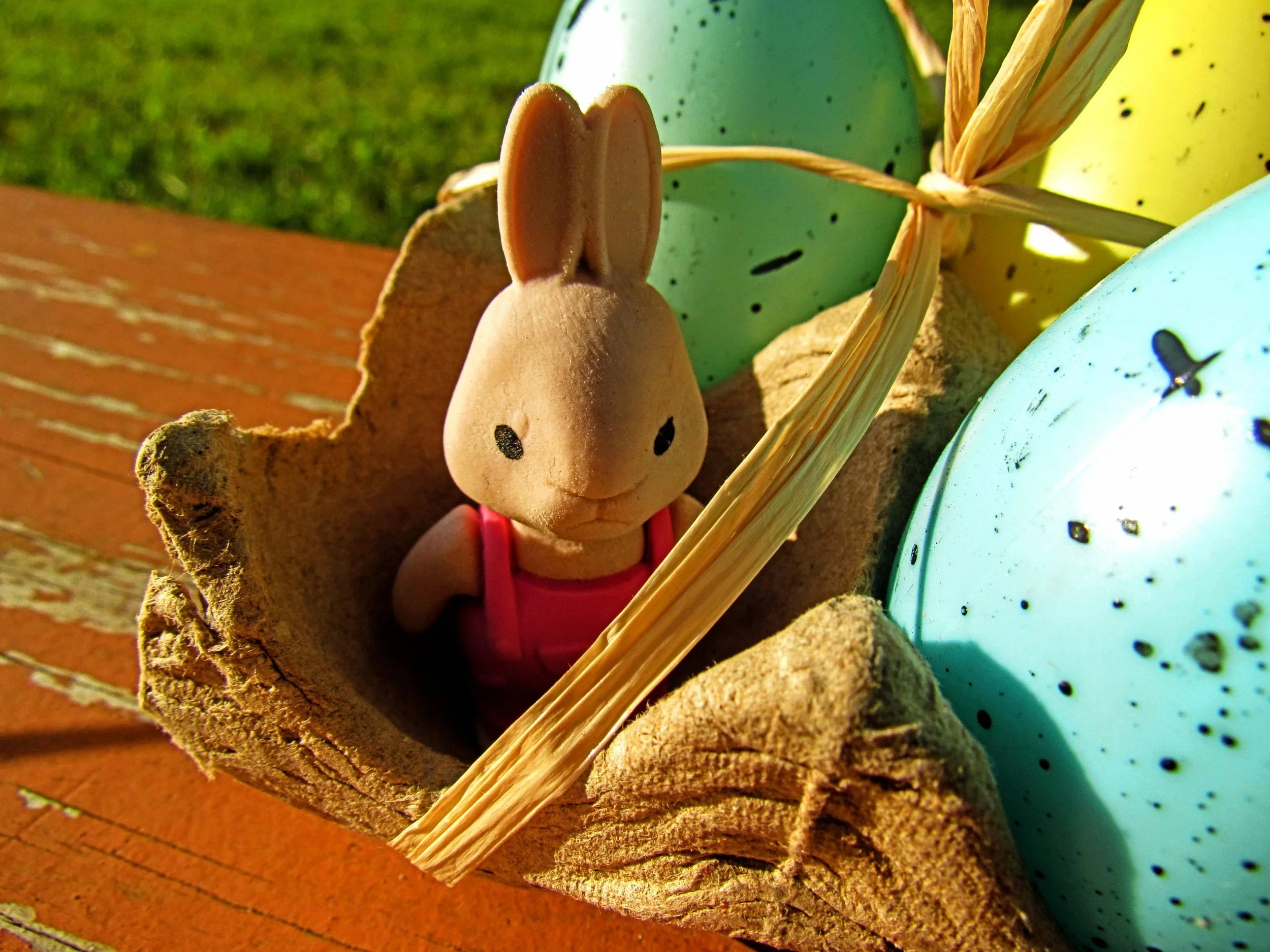 A cute Easter bunny in a carton filled with colorful plastic eggs in the backyard