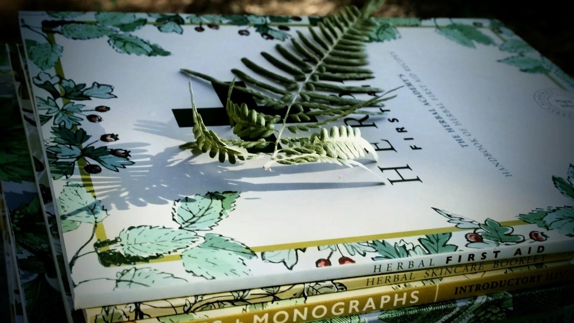 a stack of herbalism books in the shadows with a sword fern on top
