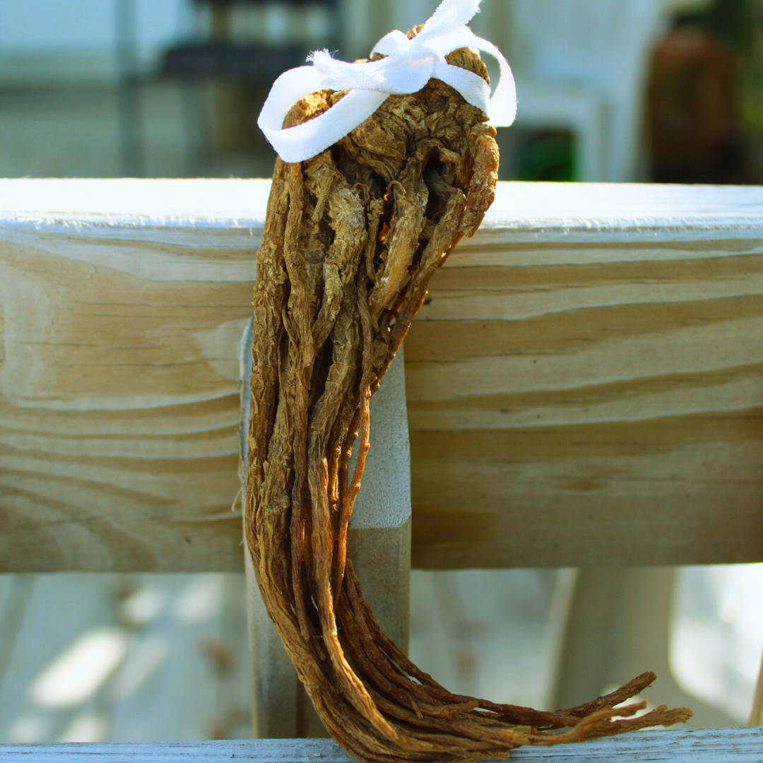 A master root poppet with a cute white bow, girl poppet