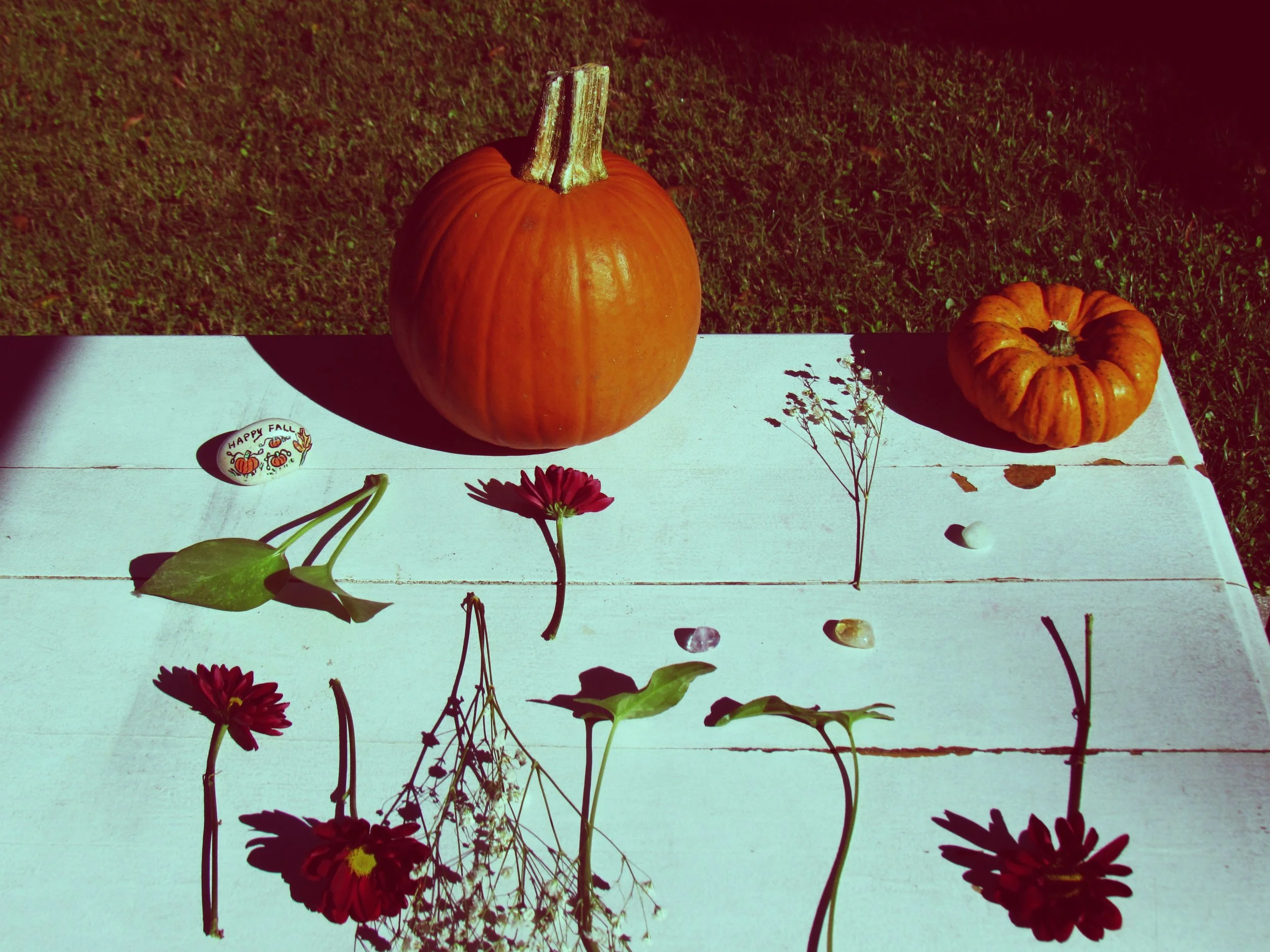 Autumn flat lay on a white shabby chic table with pumpkins, chrysanthemums, and crystals