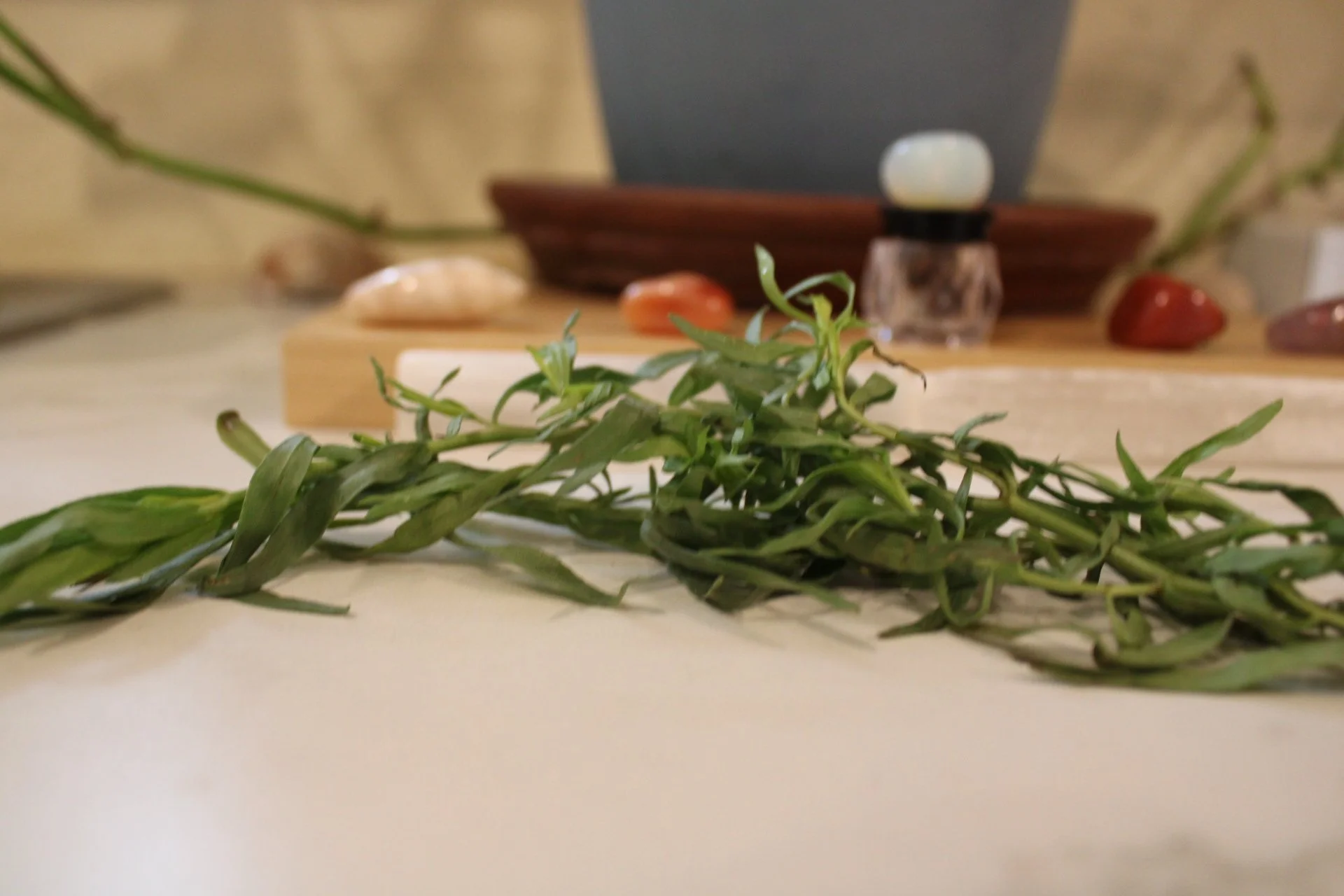 Fresh tarragon leaves with a gemstones in the kitchen