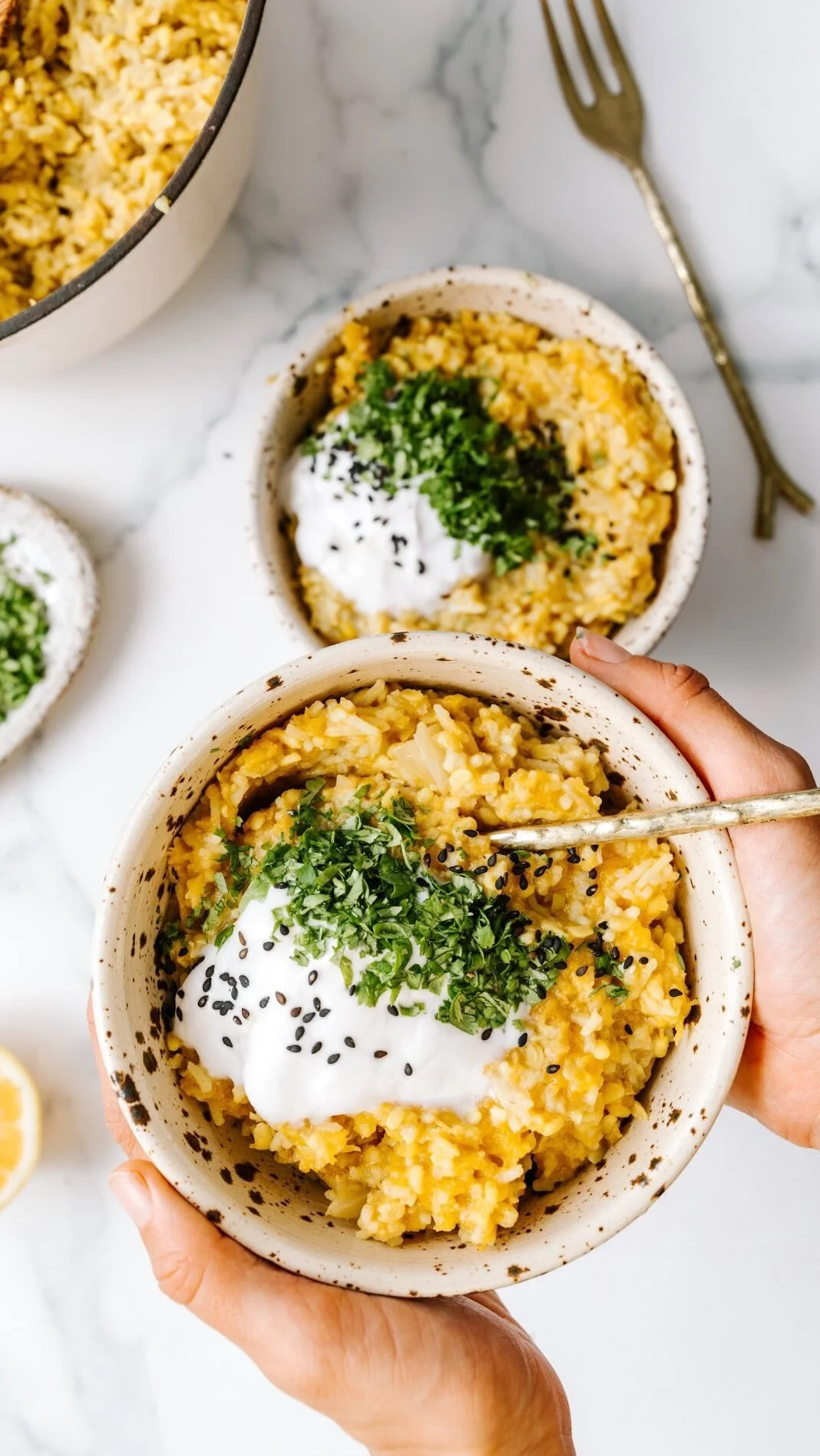 Tempeh Fried Rice (Nasi Goreng) — Grow the Grin