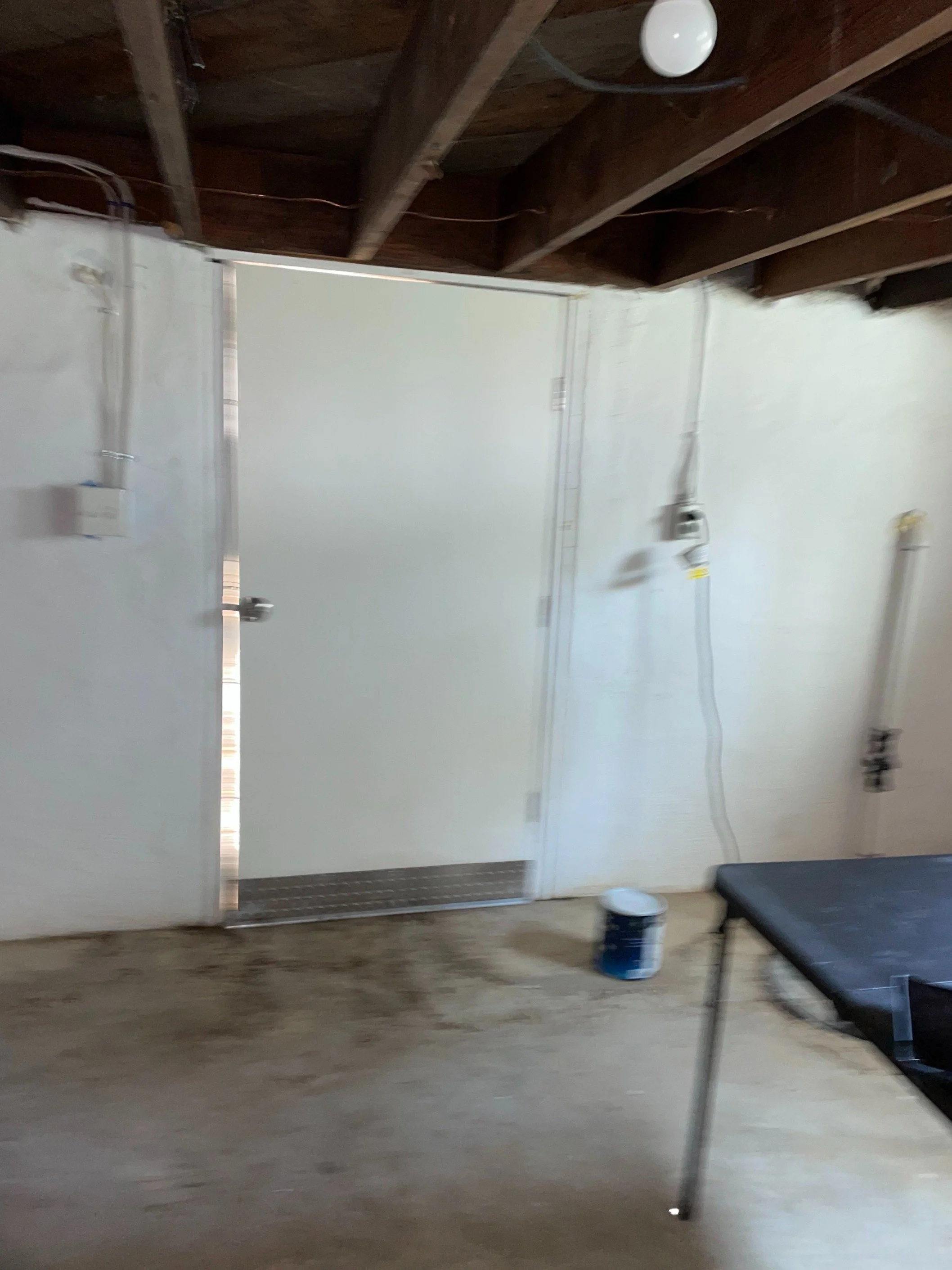 Basement View 1.jpg