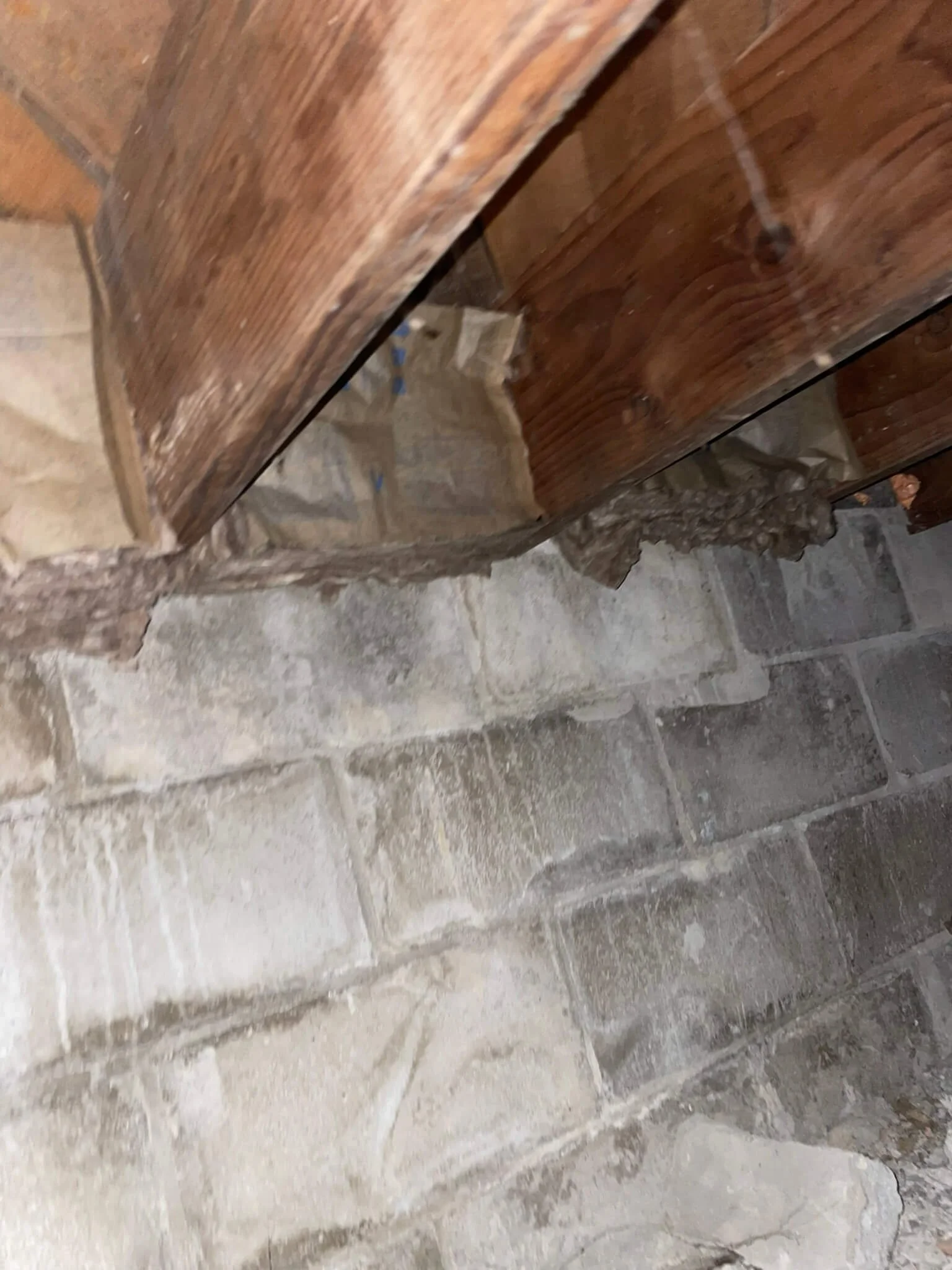 Crawl Space Rim Joist Insulation.JPEG