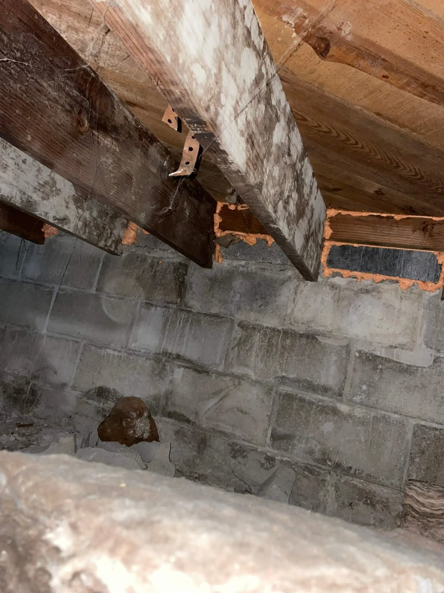 Crawl Space Rim Joist Seal.JPEG