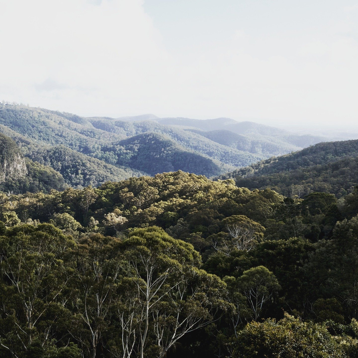 Regulation is not a luxury.
It&rsquo;s the foundation of how you lead your life.

When your nervous system is constantly holding, bracing, managing &mdash;
everything feels heavier than it needs to be.

WOVEN is a space to reset that baseline.

Throu