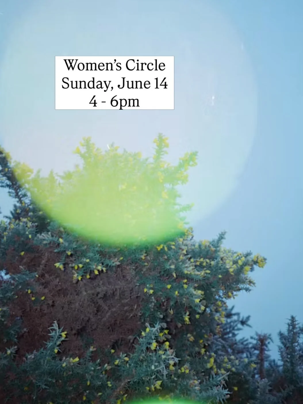 Under the Gemini New Moon, we gather for an evening of breath, reflection and wild inquiry.

A space to soften the noise of the outside world and listen more closely to the conversations unfolding within.

Through guided breathwork, journaling, ritua