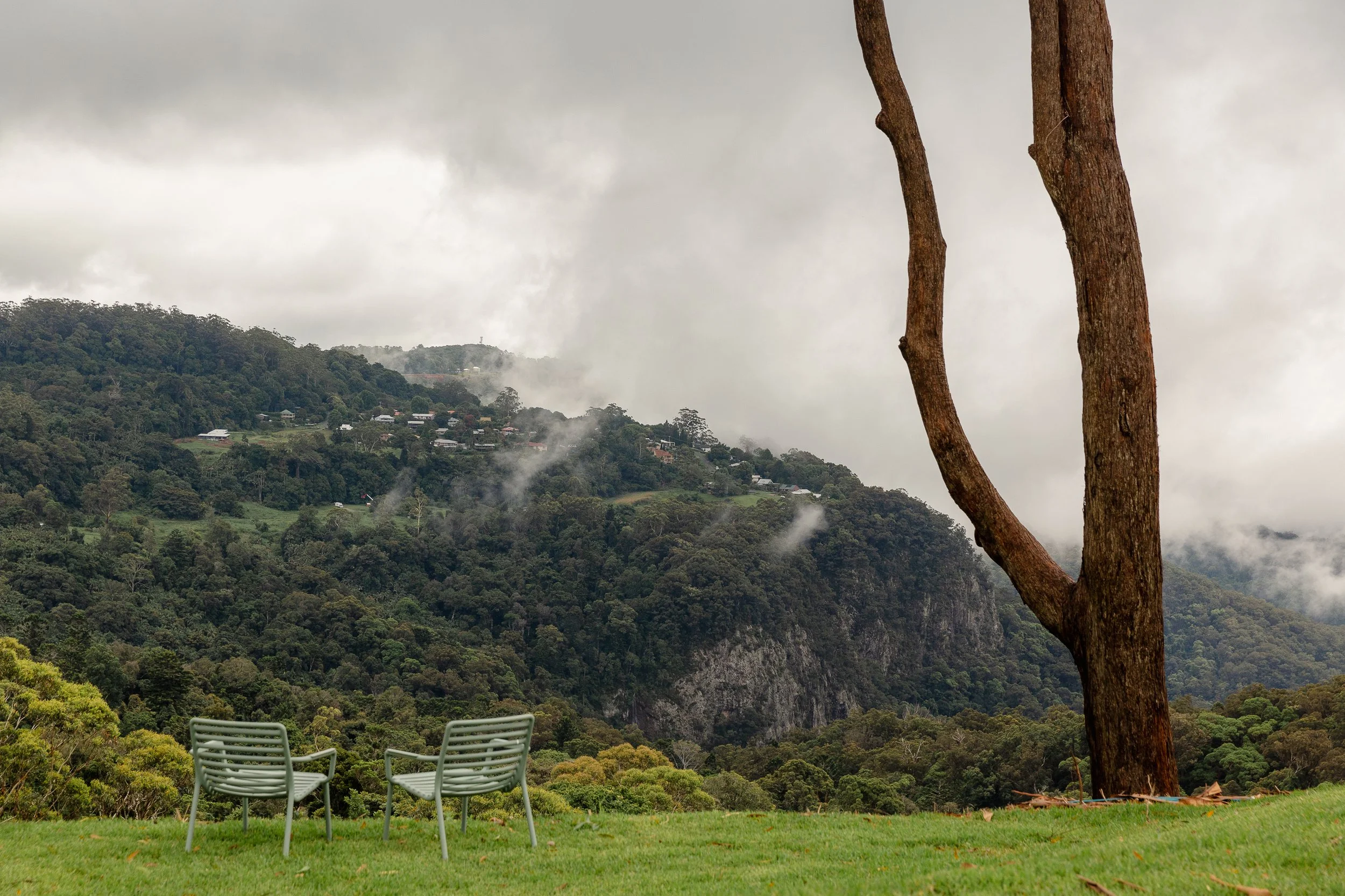 The Tamborine_12-2024-HR-6891.jpg