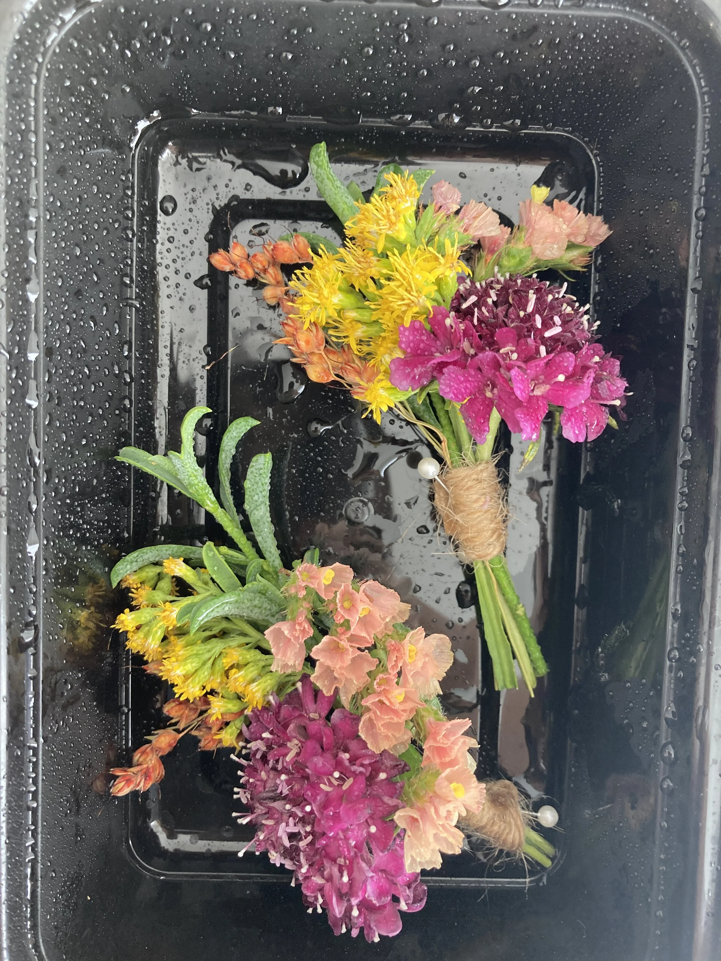 Boutonnieres, Fall 2023