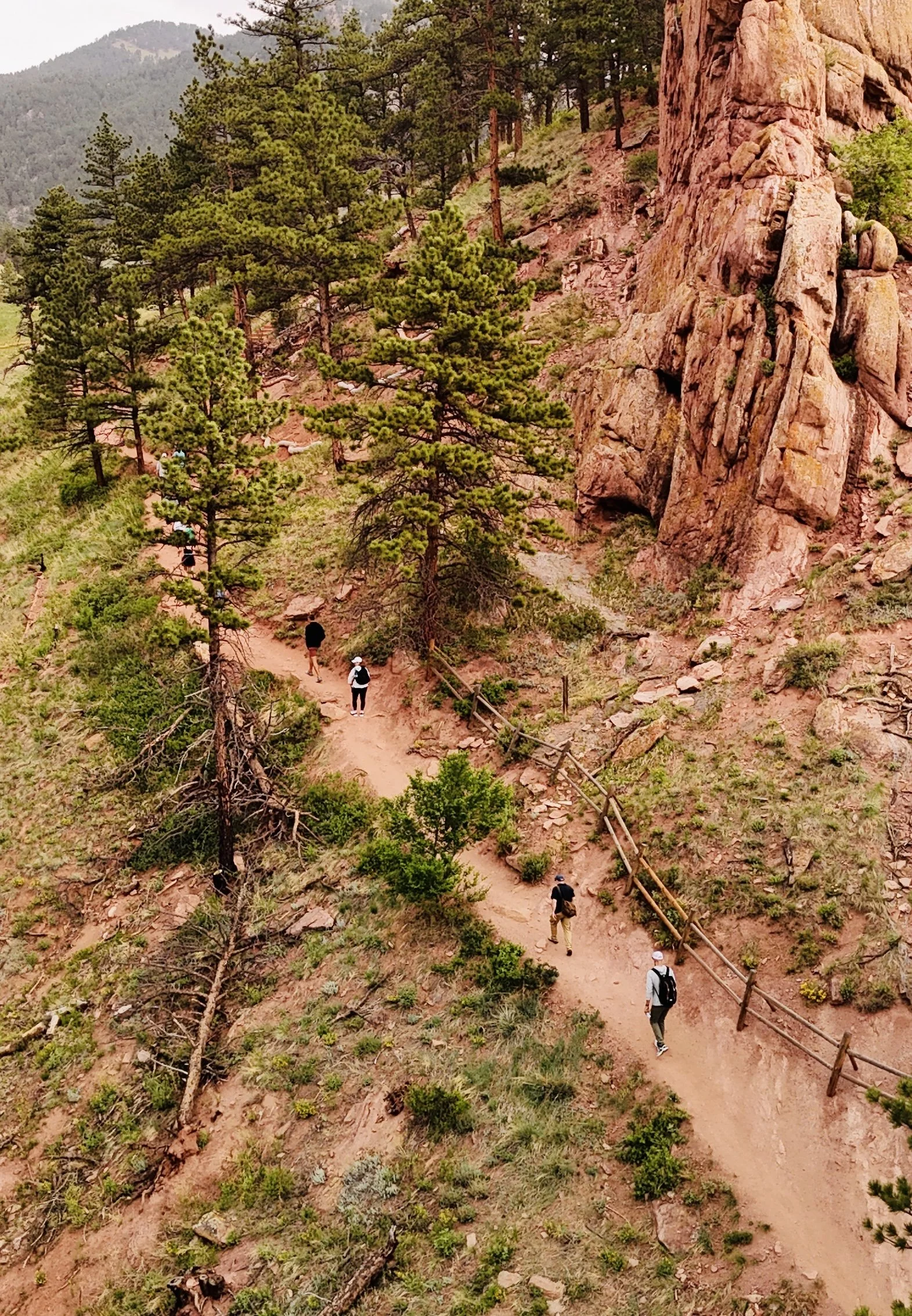 DJI_20260609112549_0574_D.jpeg