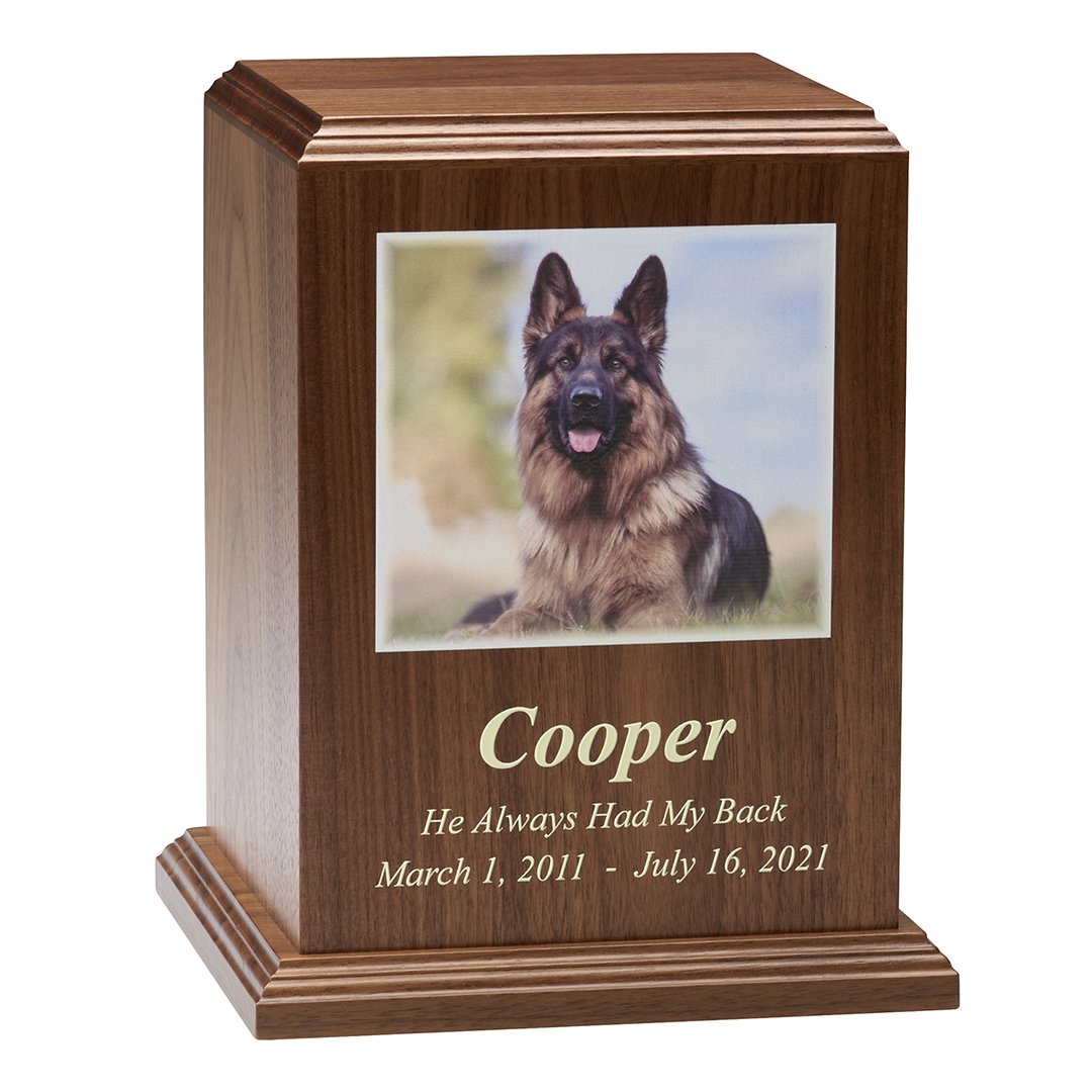 3150-Wal-pet.jpeg
