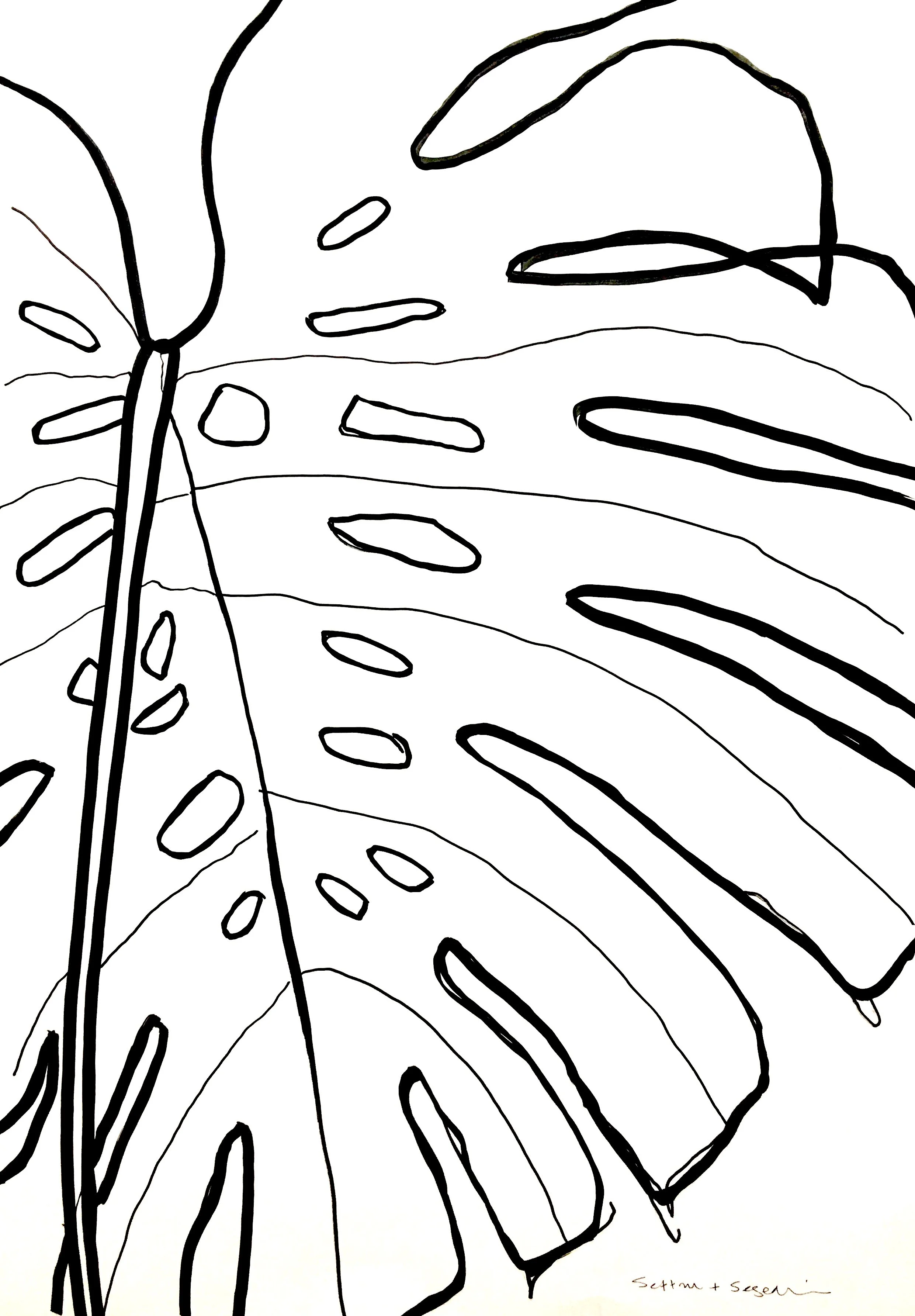 MONSTERIA LARGE