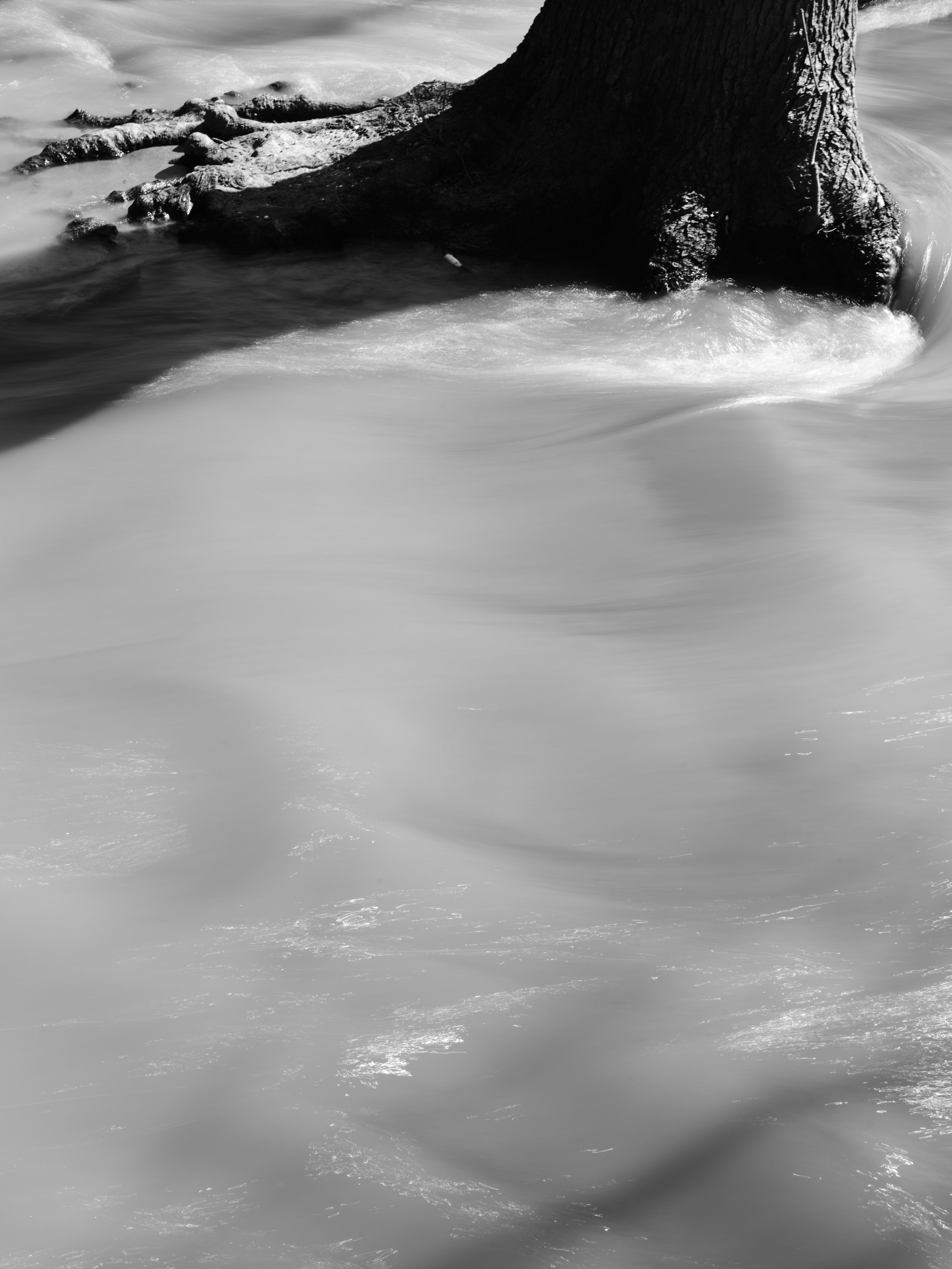 DSCF7141 1.jpg