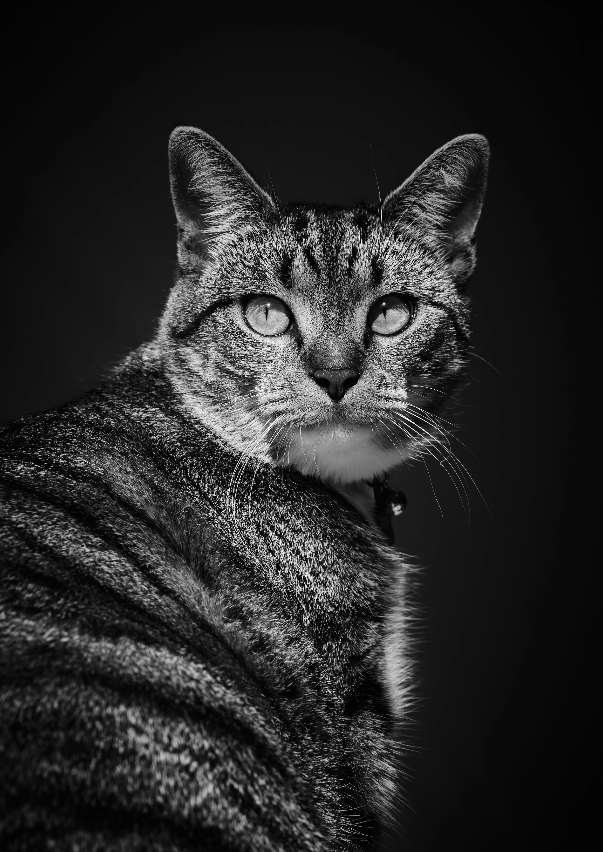 DSCF3276.jpg