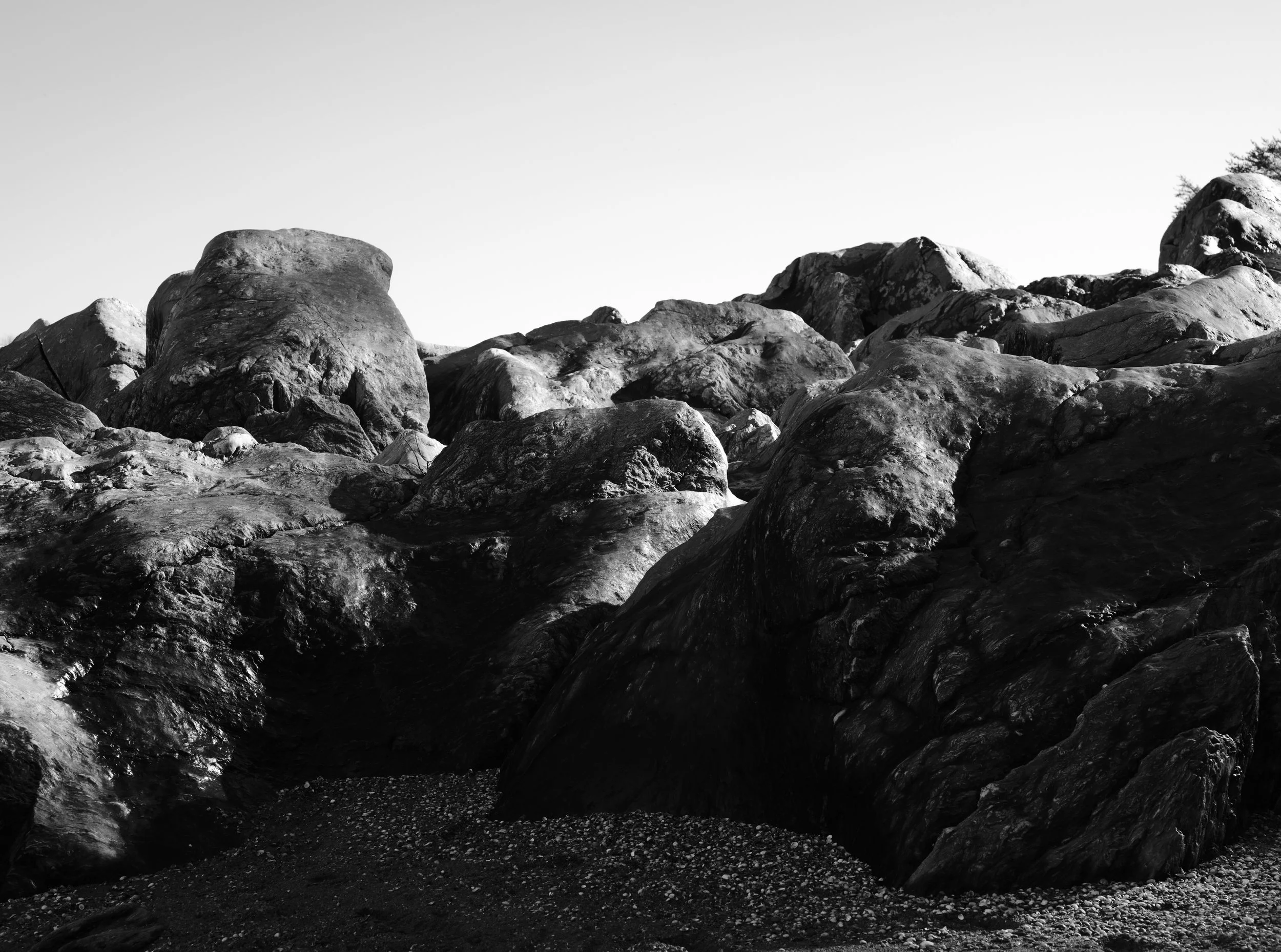 DSCF5206.jpg