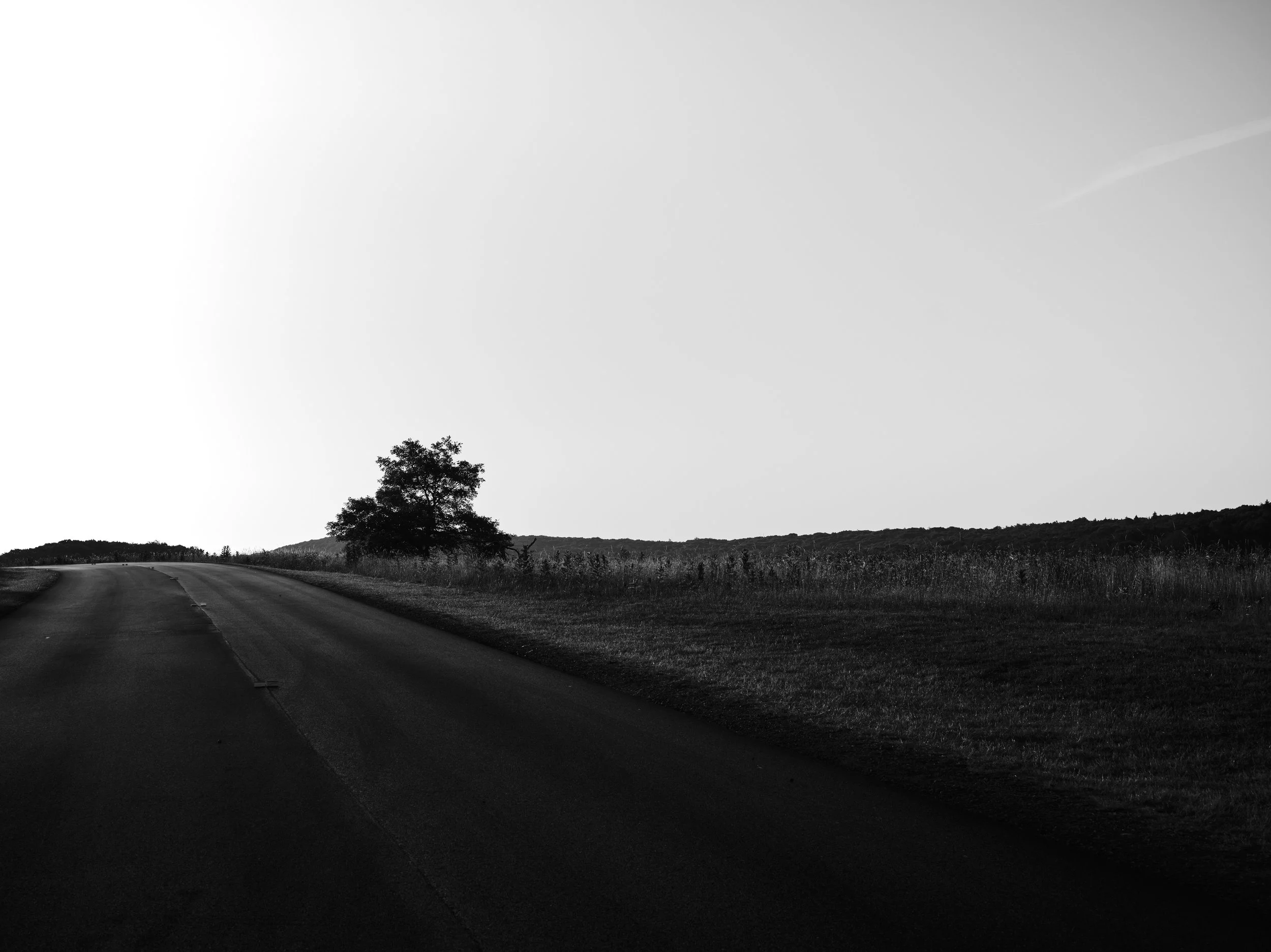 Bear Road.jpg