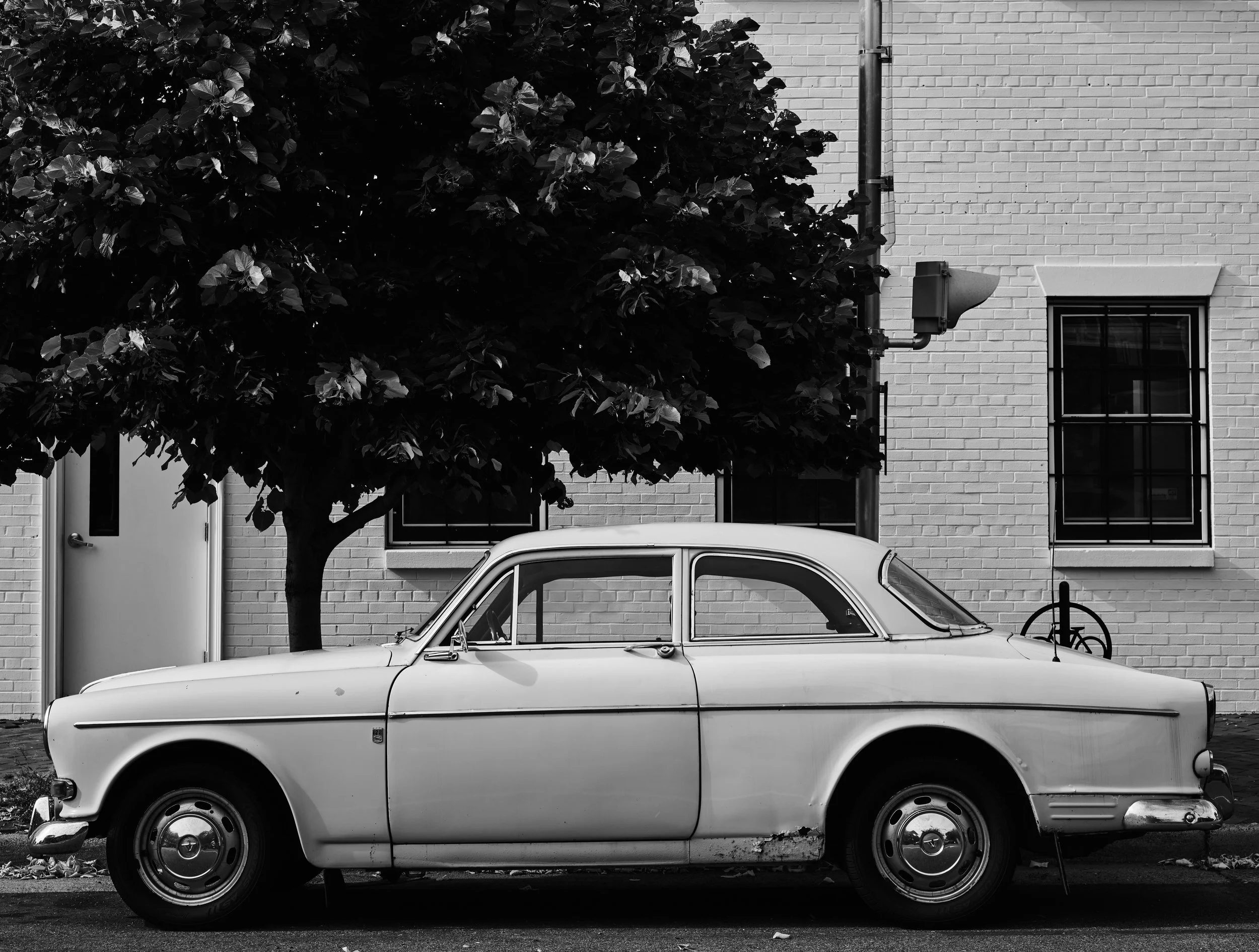 DSCF1459.jpg