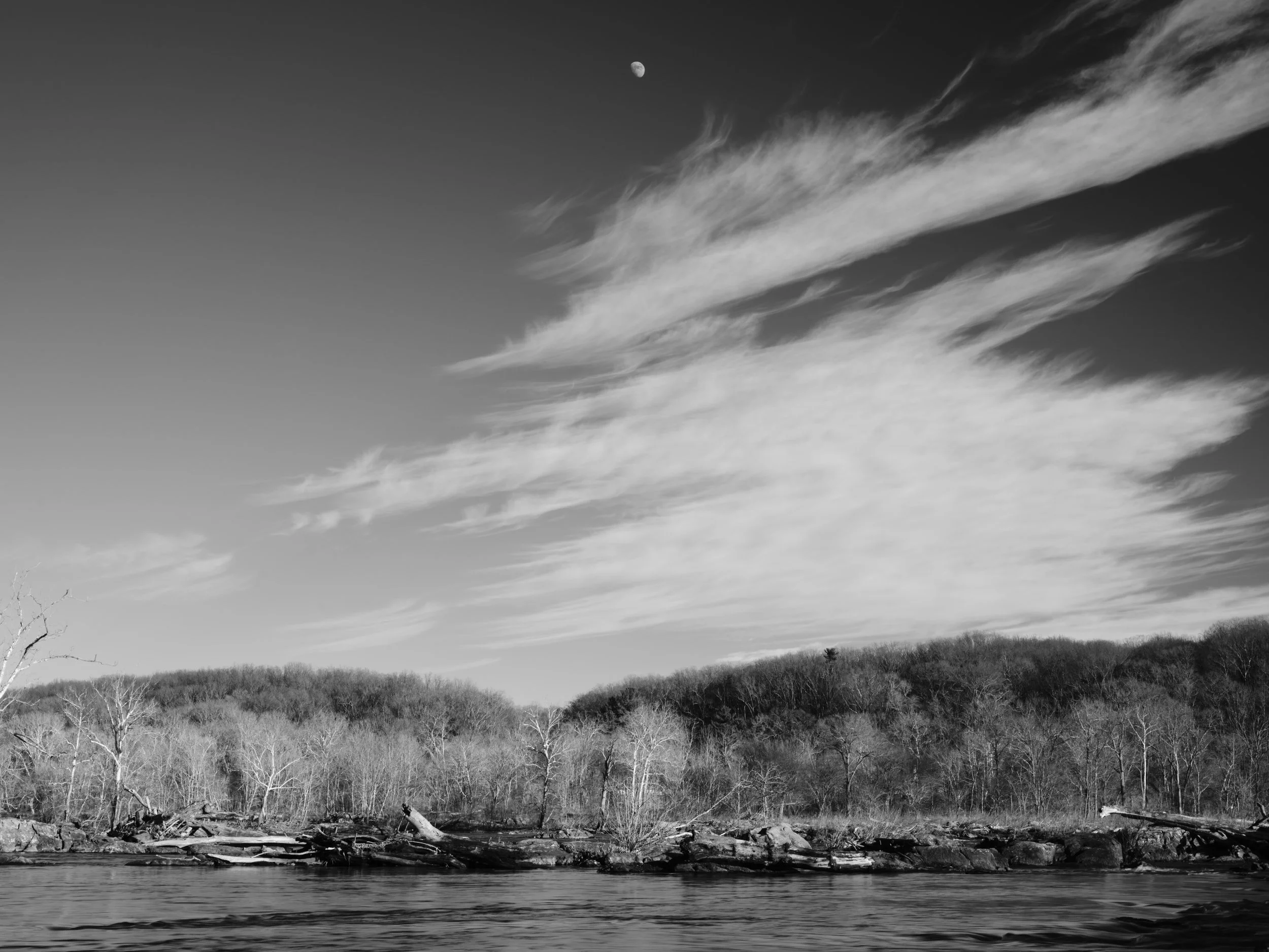 DSCF5262 1.jpg