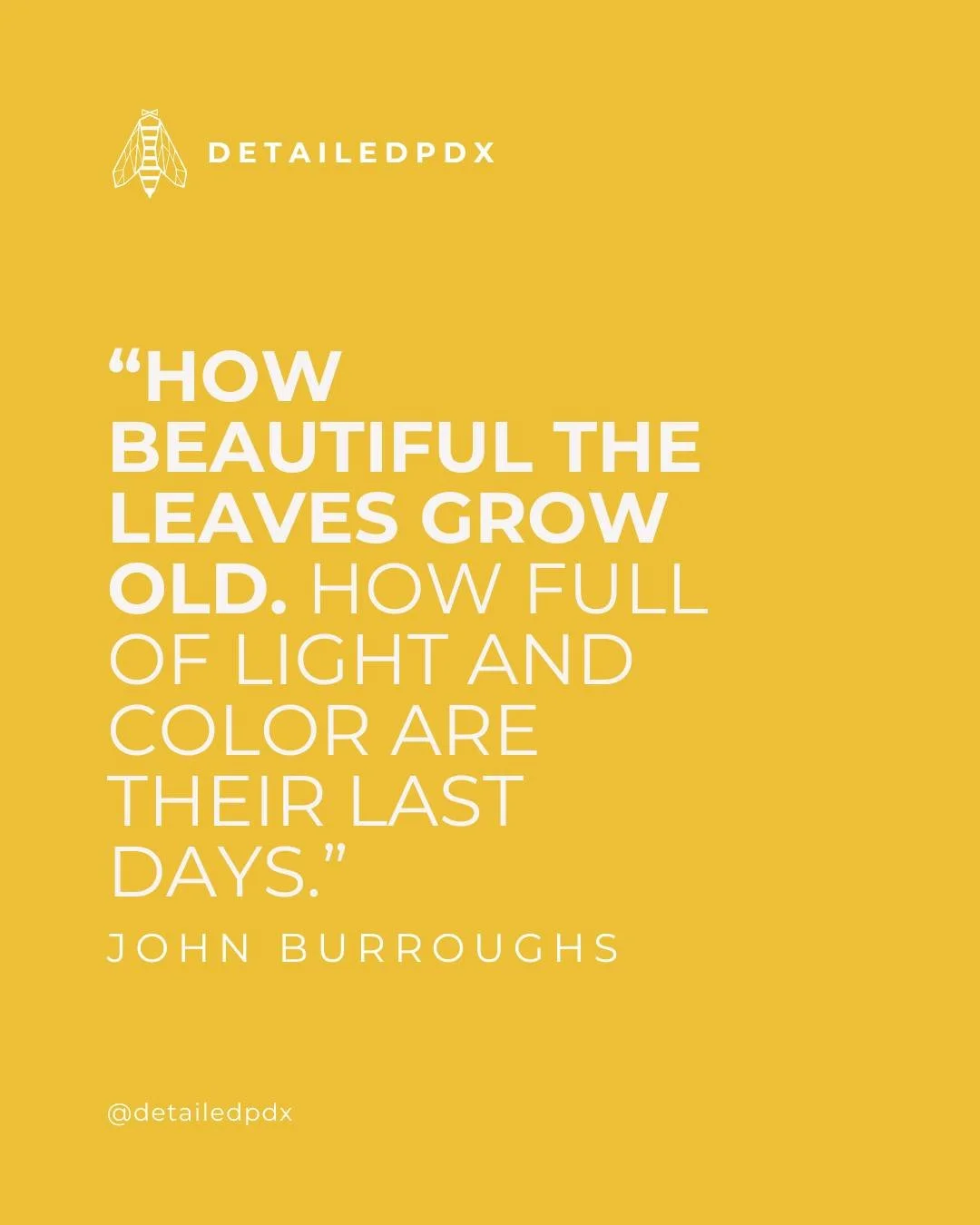 &ldquo;How beautiful the leaves grow old. How full of light and color are their last days.&rdquo; 
&mdash; John Burroughs

#Autumn #InspirationalQuotes #Relatable #VirtualAssistant #SmallBusinessSupport #DetailedPDX #SmallBusiness #WomenOwned #SmallB