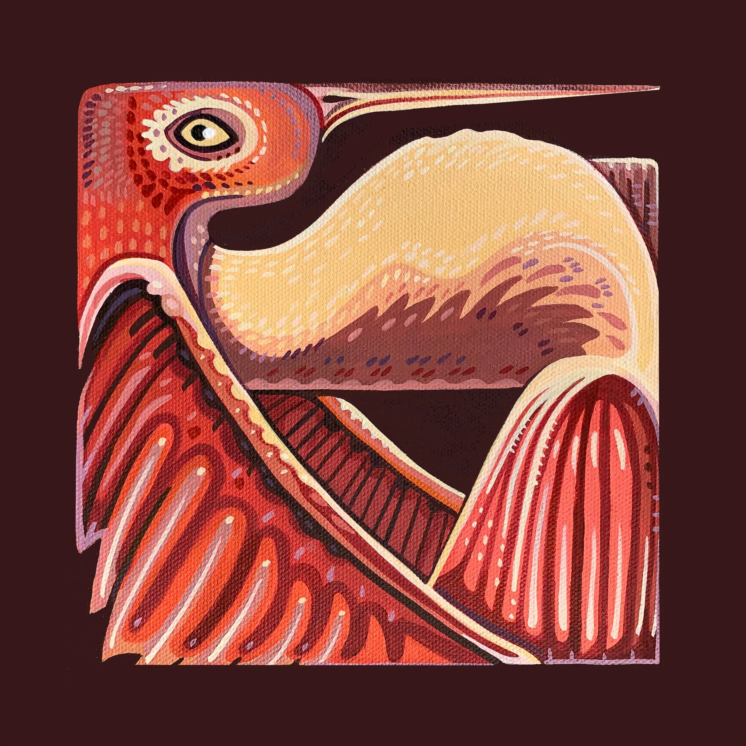 HUmmingbird Medicine