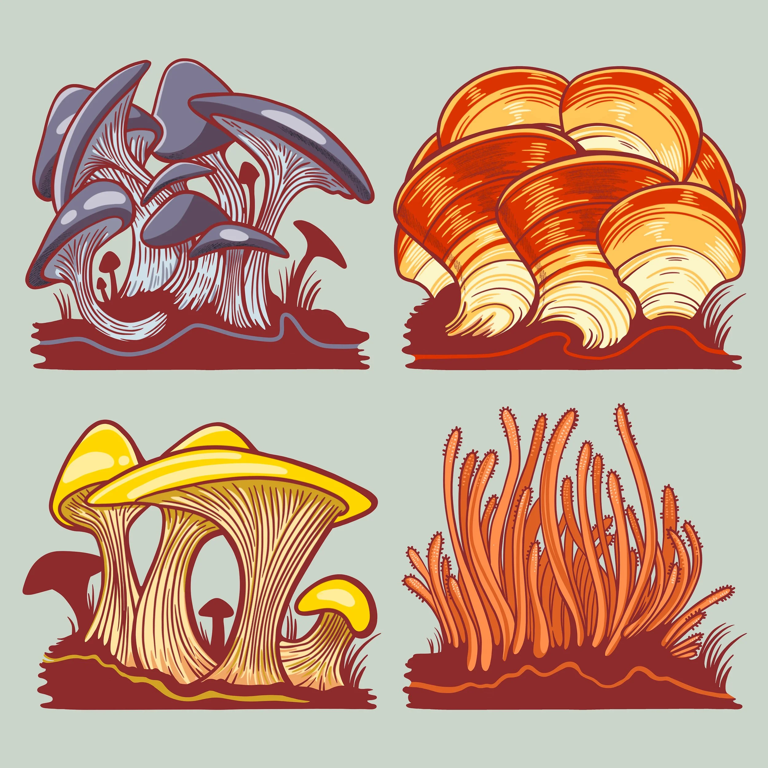 spot illustrations.jpg