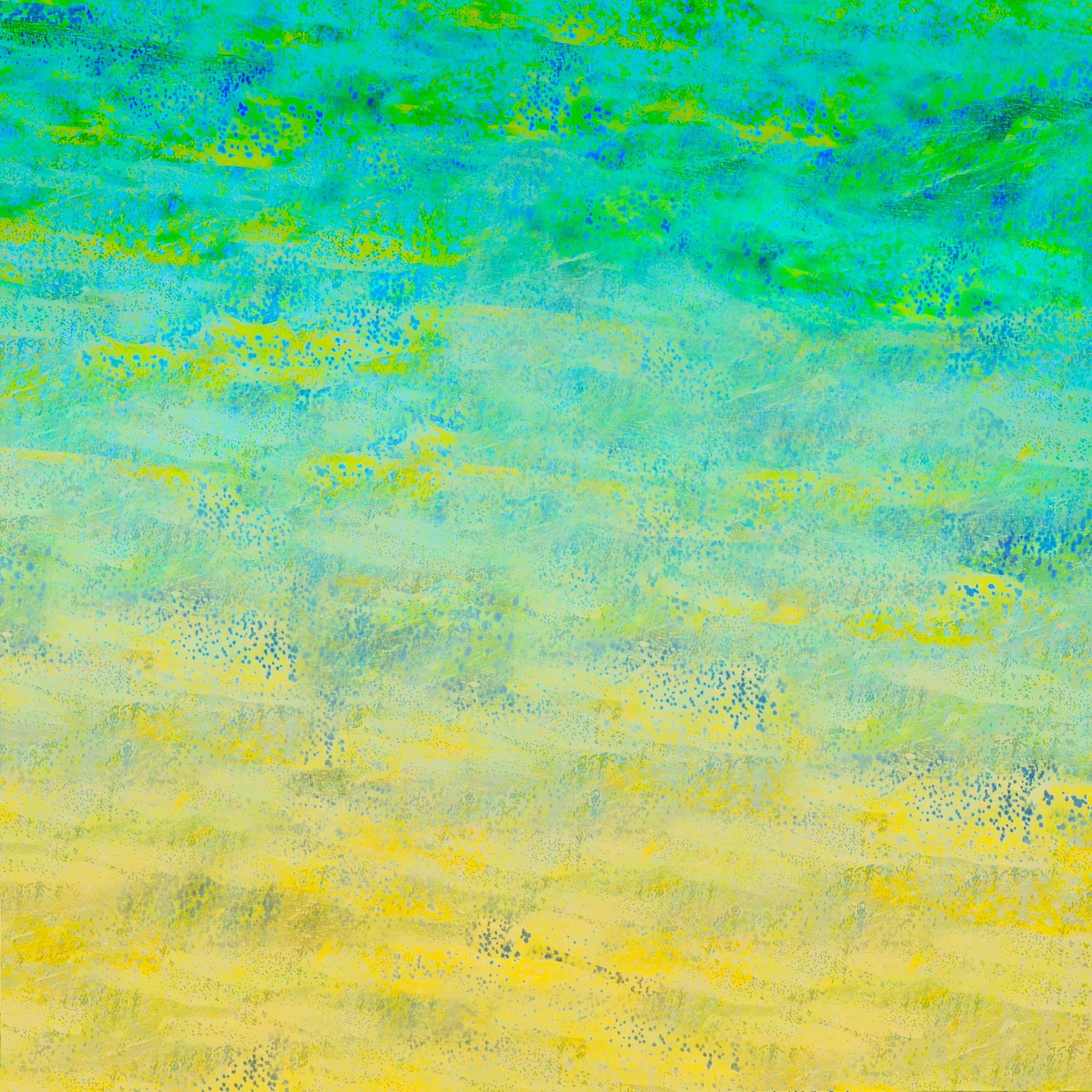mahi mahi.jpeg