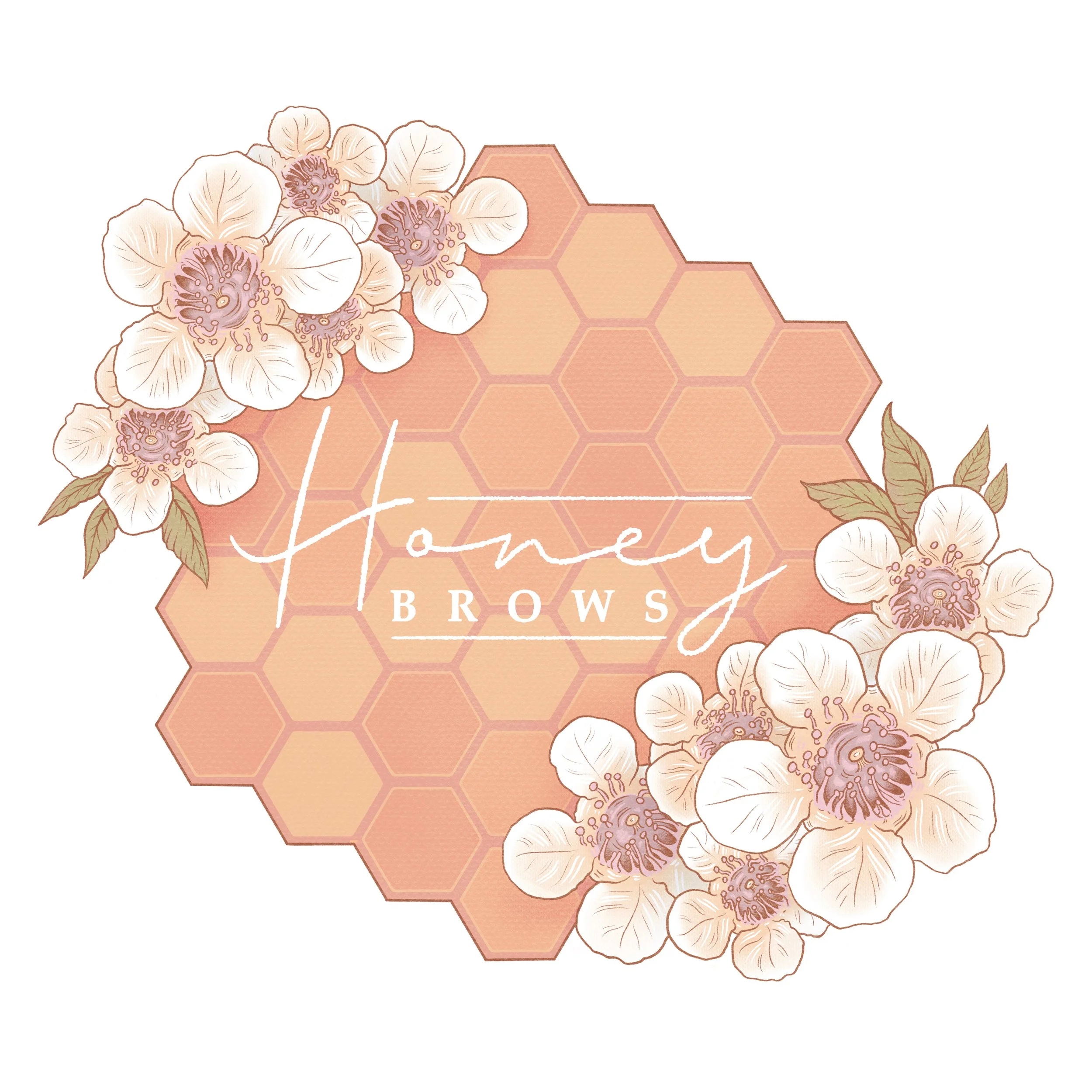 honey comb brow logo white background.jpeg