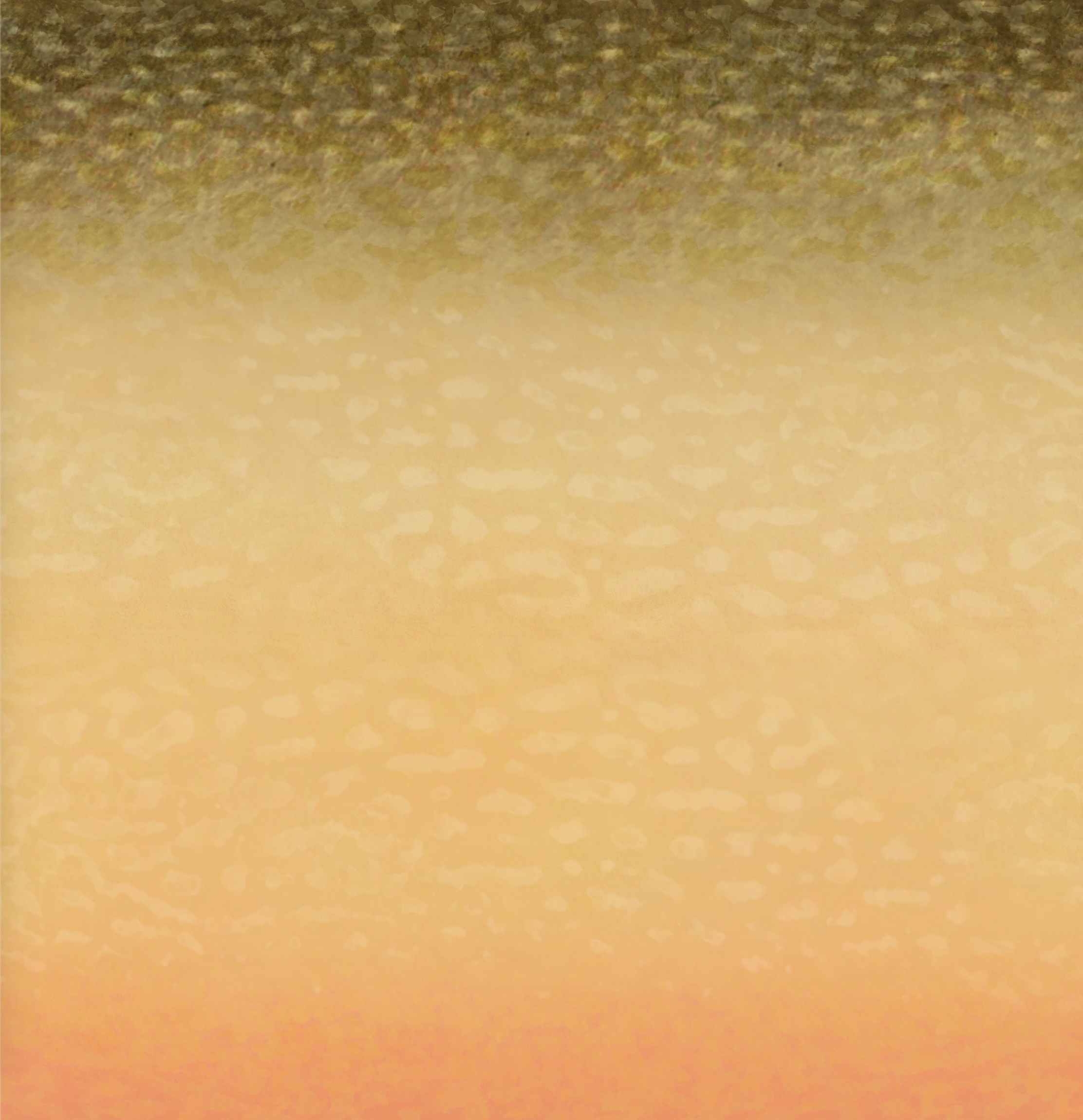 Screen Shot 2021-12-08 at 12.52.15 PM.png