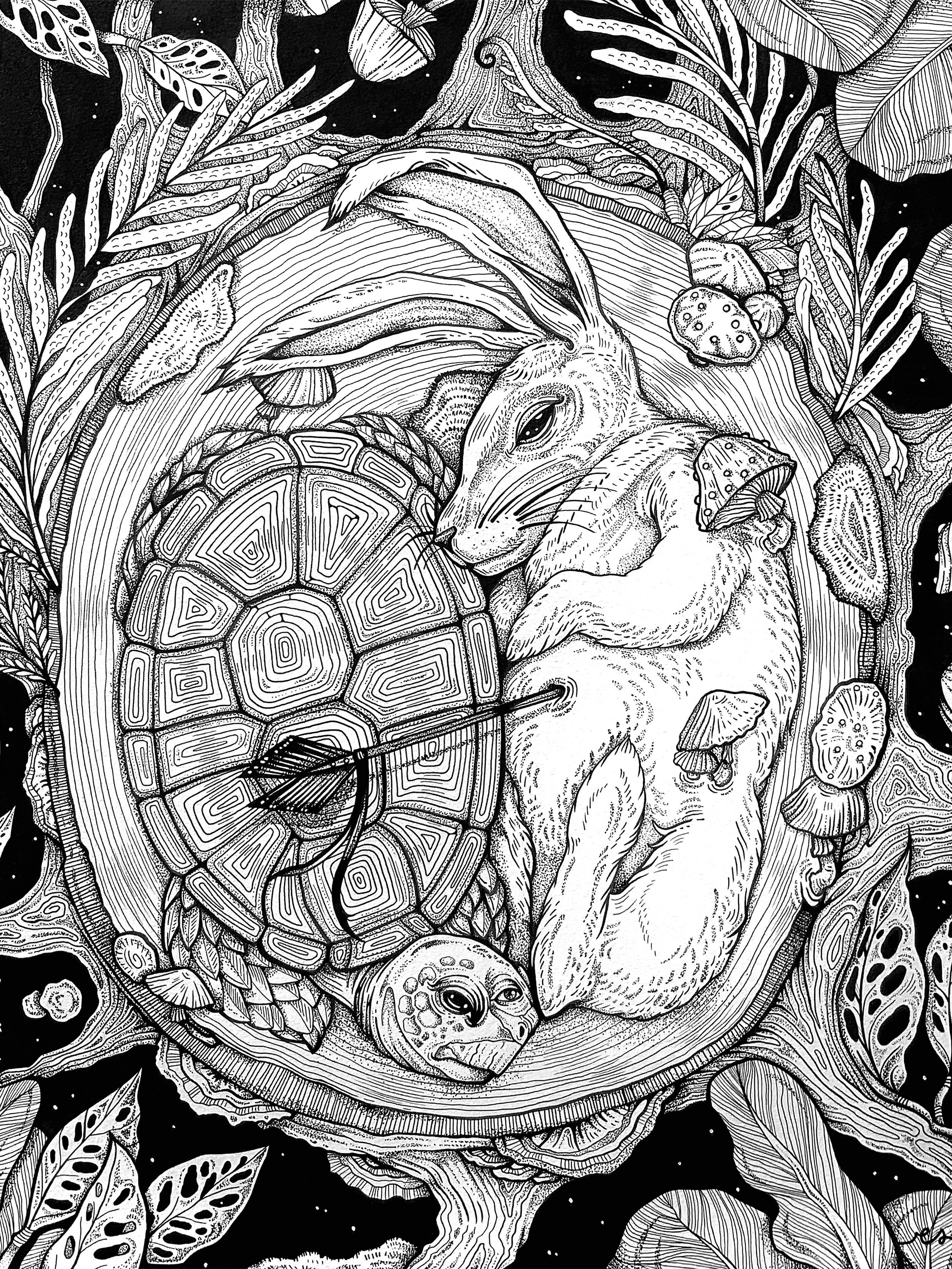 Cycles