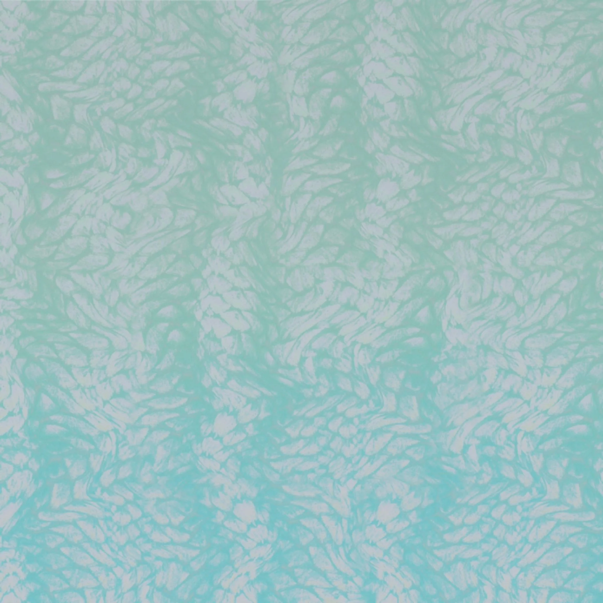 CA40B06A-33C1-4C93-8203-8A90E192D7D1.jpg