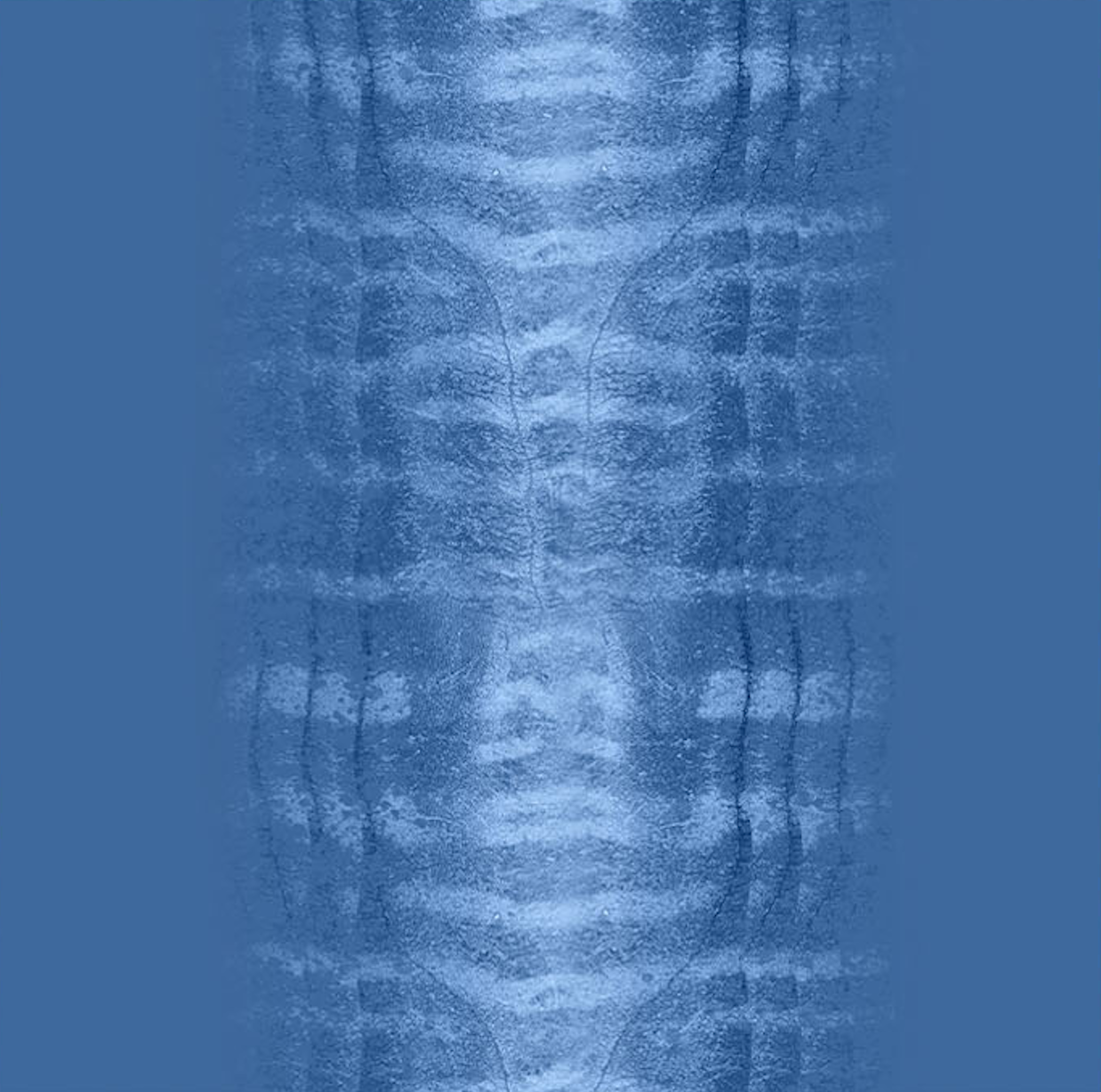 Screen Shot 2021-12-08 at 2.56.00 PM.png