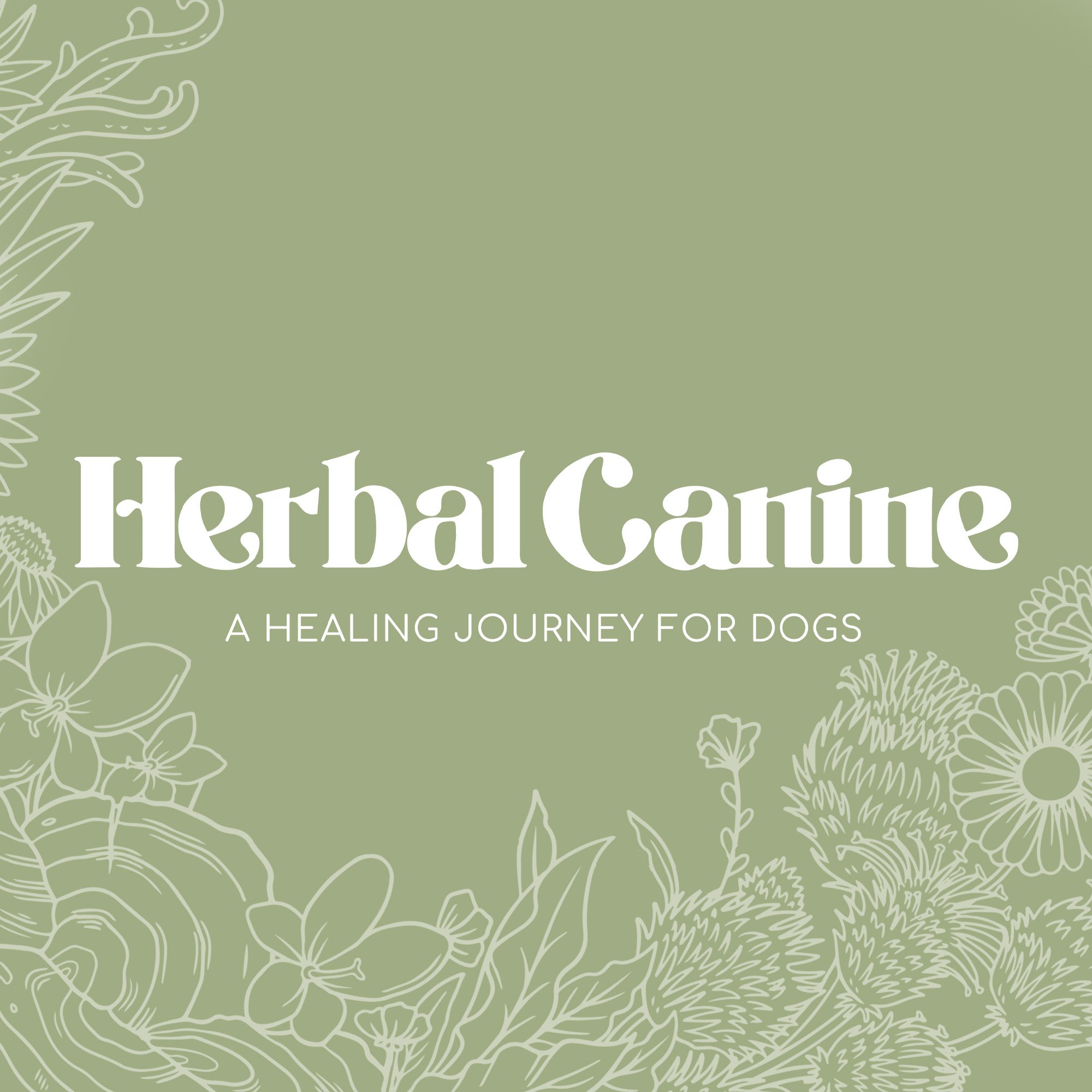 herbal canine logo -  green background.jpg