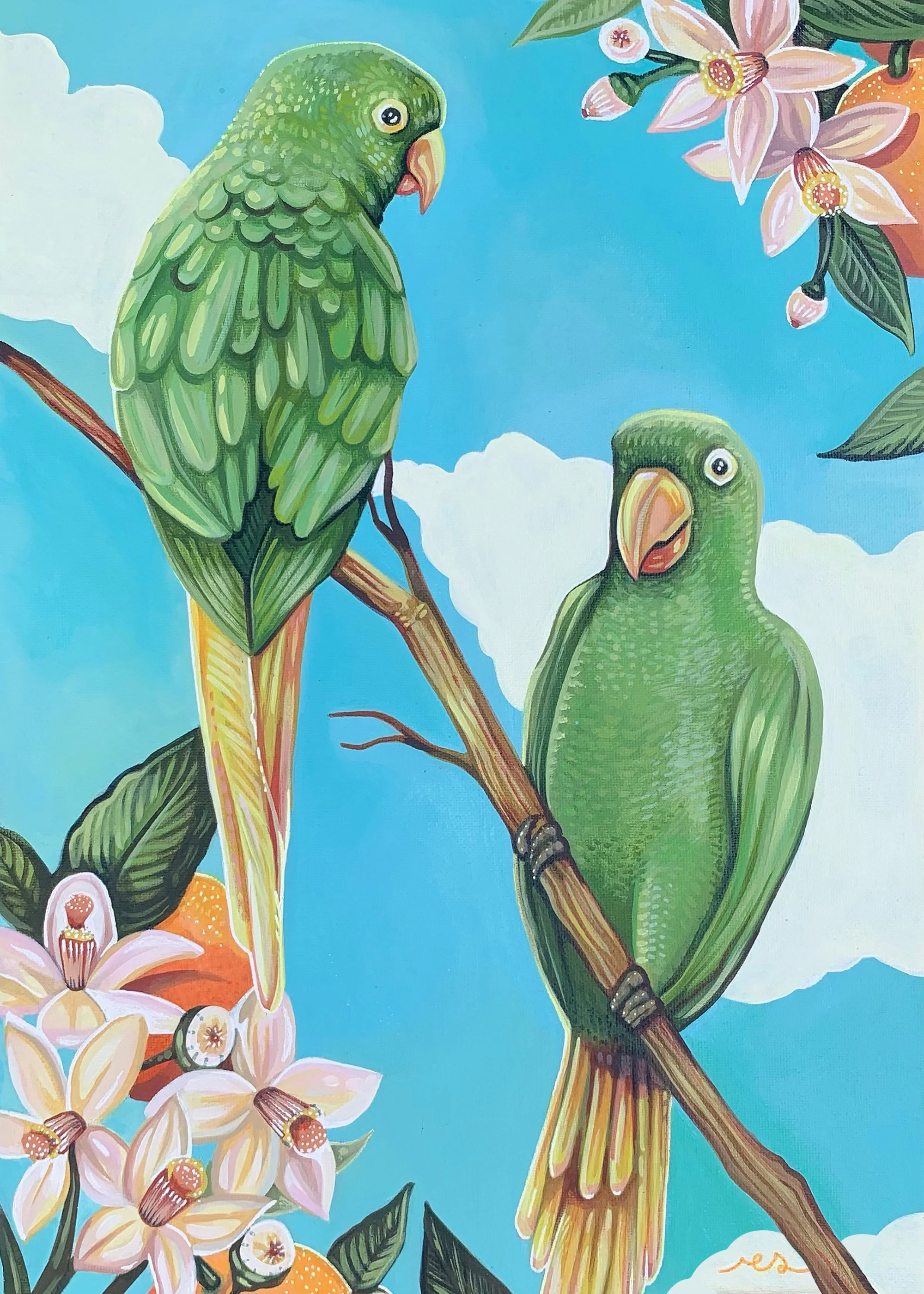 St. Petersburg Green Parrots