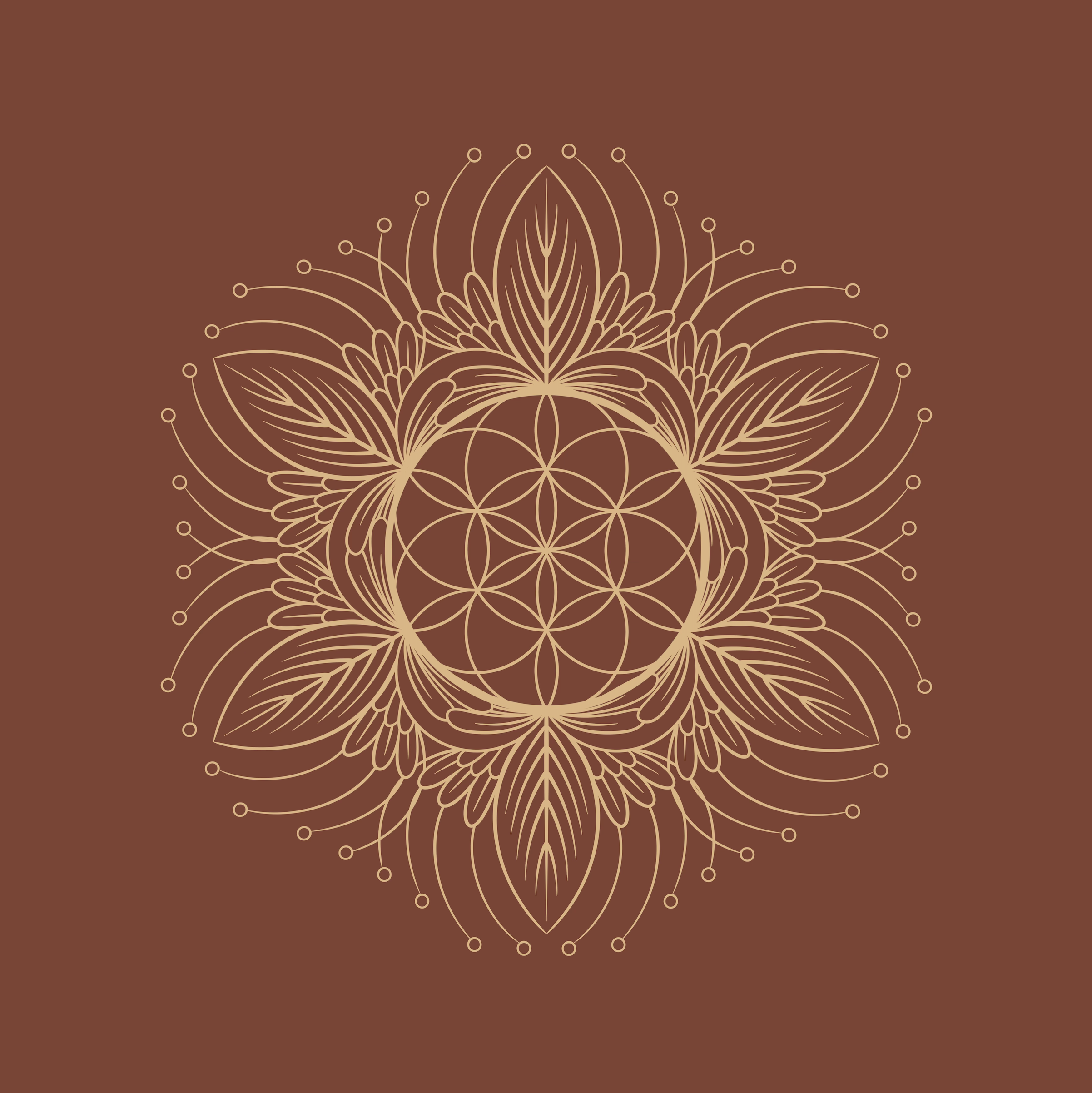 Mana Chiropractic