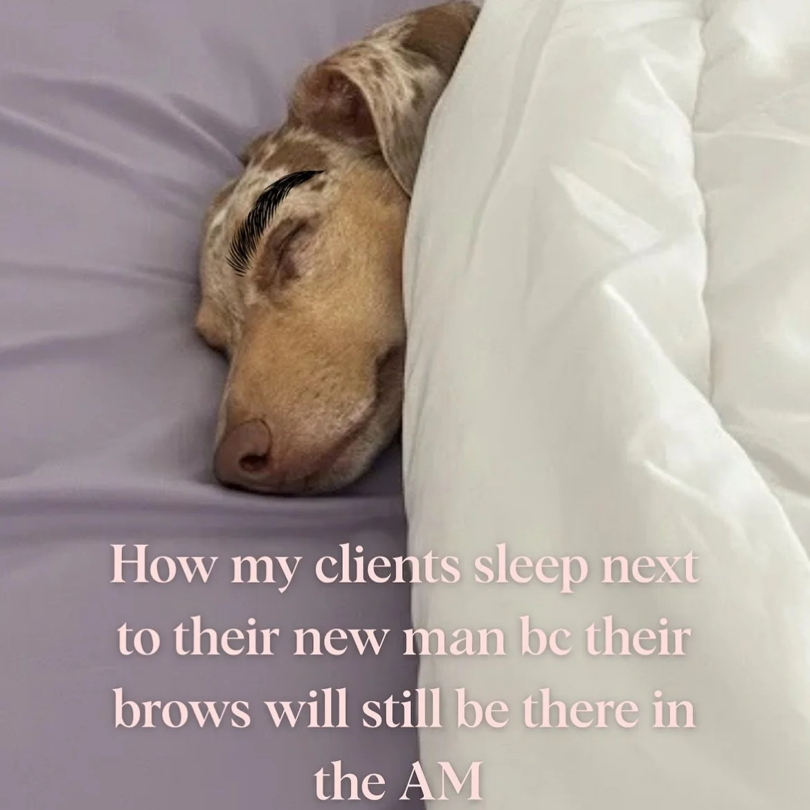 This could be you 😏
(you will still have bills though, unlike Ned) #renobrows #nanobrows #renobeauty #beautyhumor 
.
.
.
Reno Brows 
Reno Hair 
Reno Nails 
Brows 
Eyebrows 
Nano Brows 
PMU Artist 
Permanent Brows