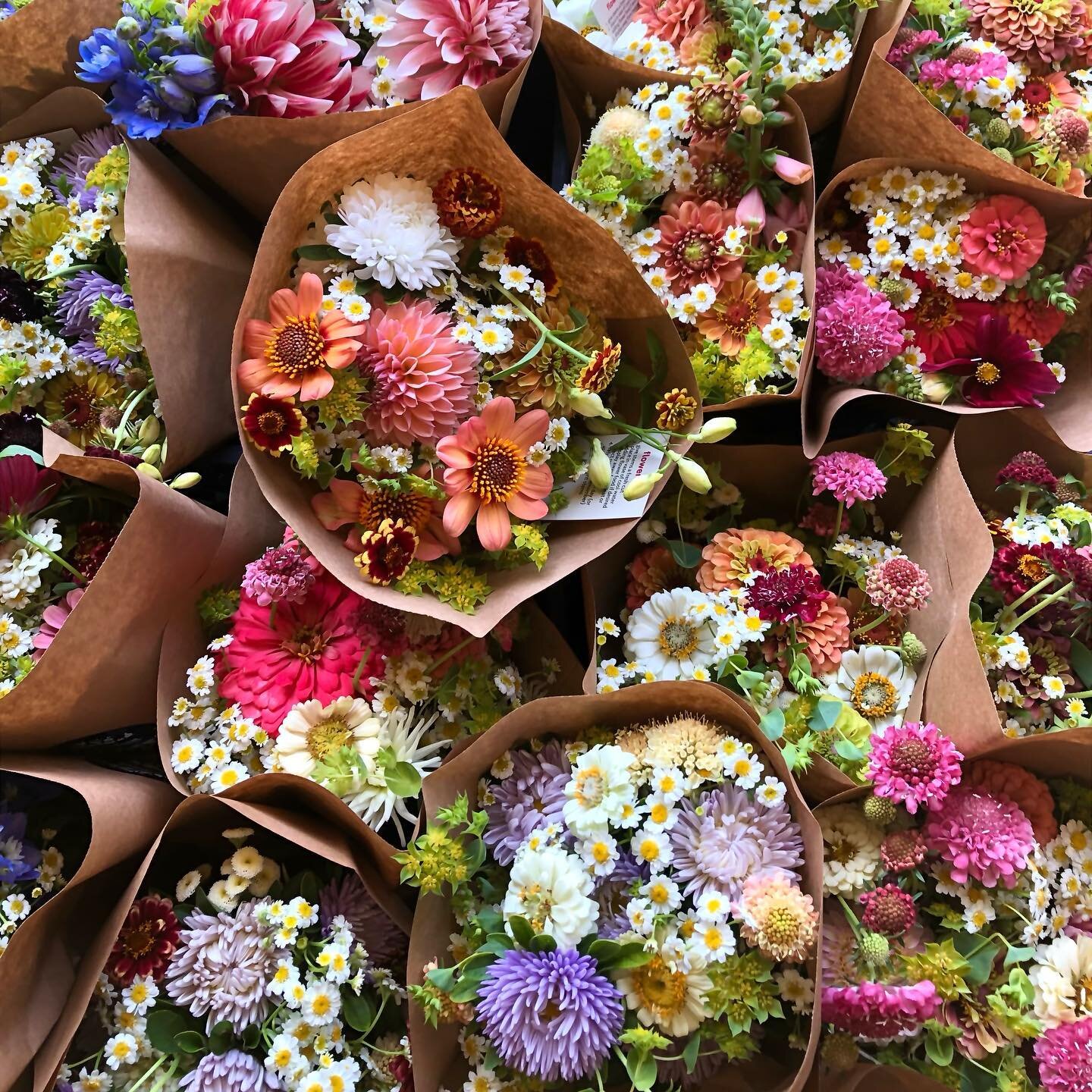 skip the grocery store flowers flown in from who knows where and gift your honey a summer of local, fresh flowers 💐 for Valentine&rsquo;s Day! we will make you a nice lil gift certificate for the 14th. hit the link in our bio for our flower share, t