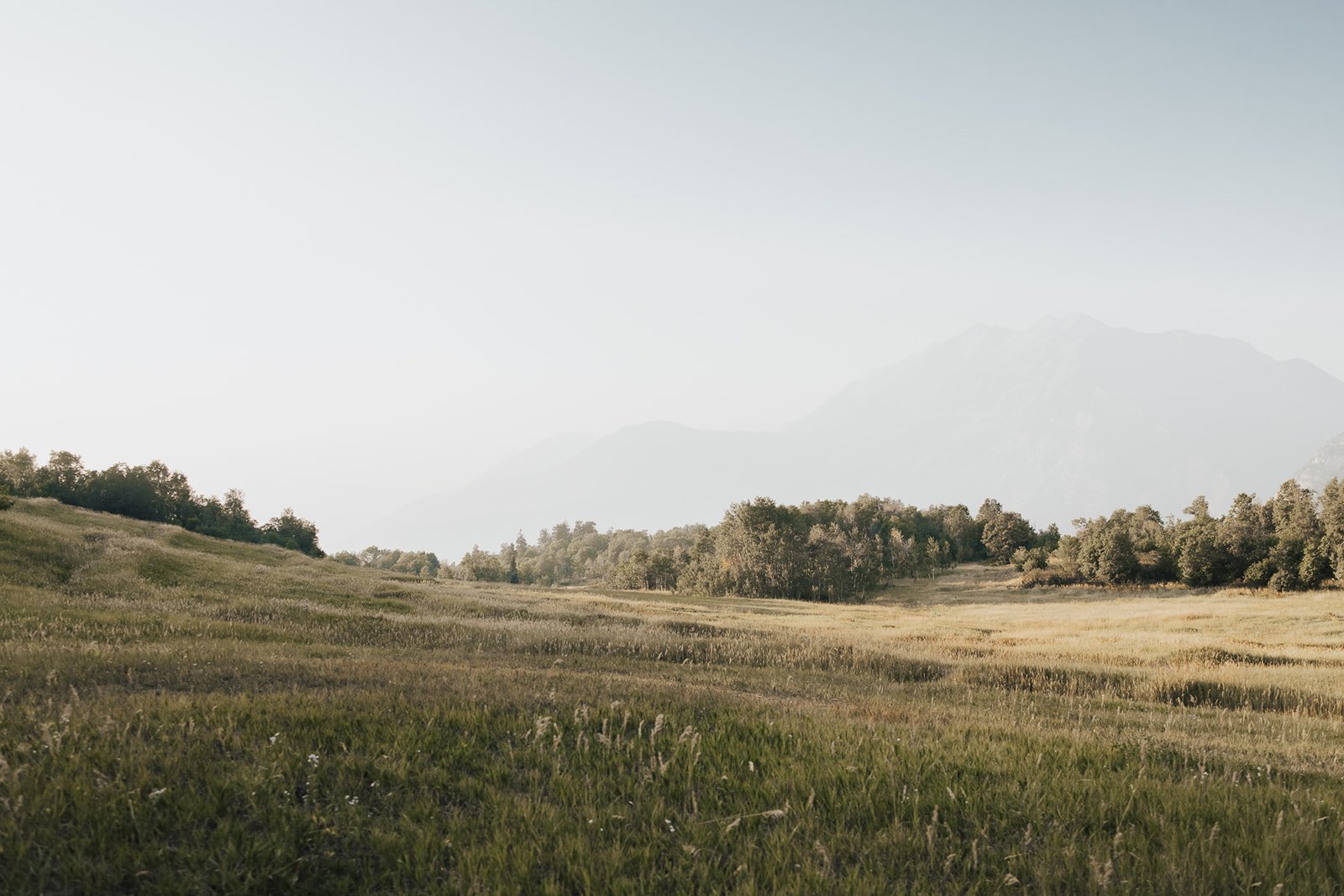 colt spence boone_web (122 of 124).jpg