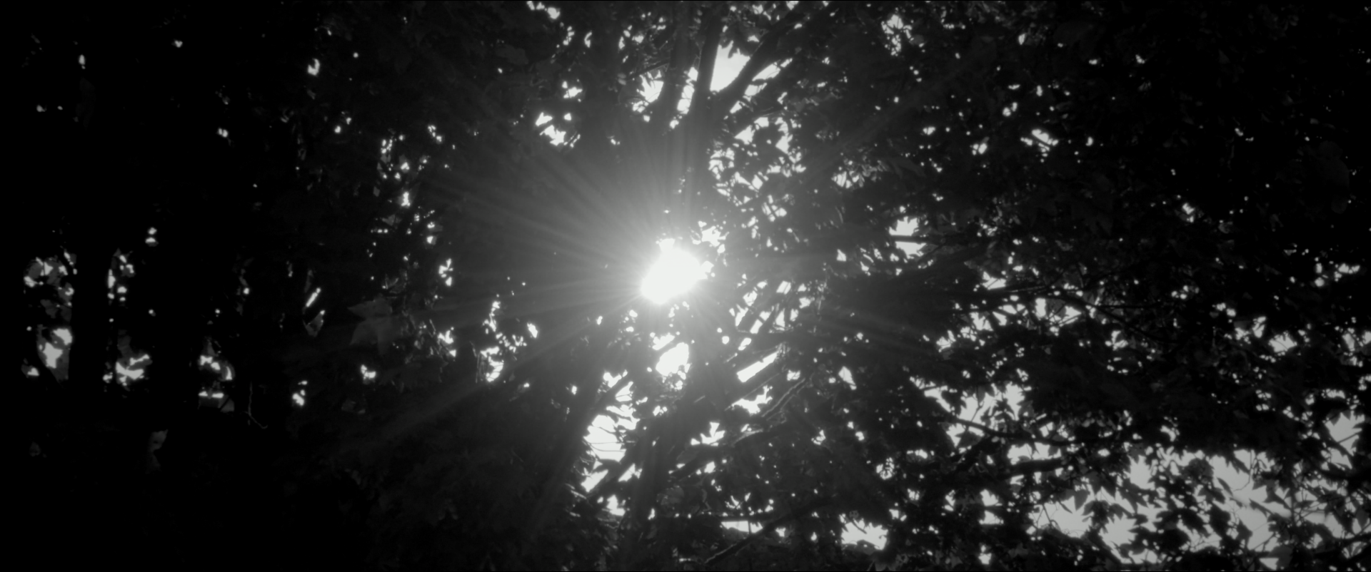 Capture d’écran 2021-09-18 à 19.26.45.png