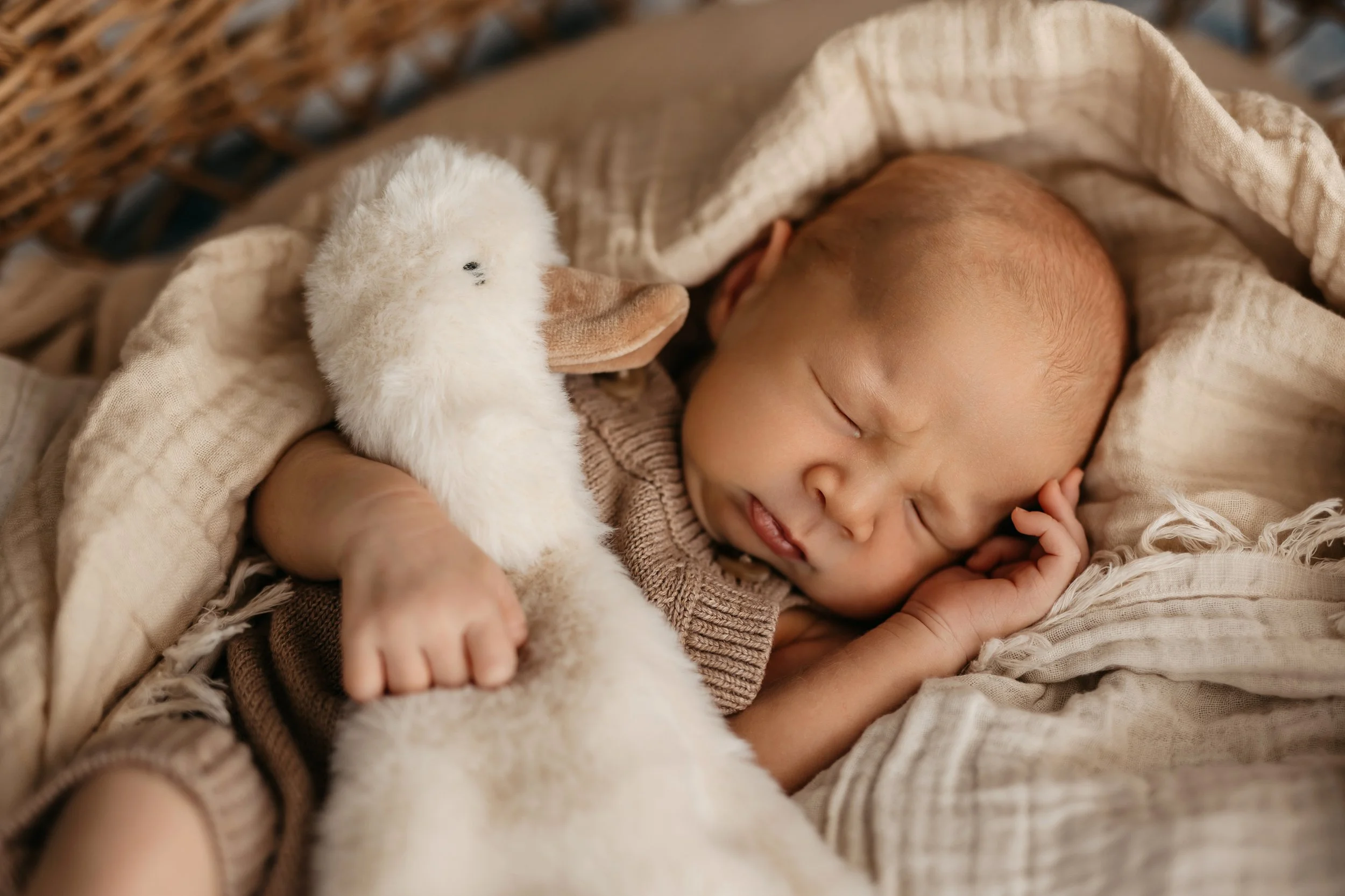 BABY KAI- ELANAMULLALYPHOTOGRAPHY-JAN25-138.JPG