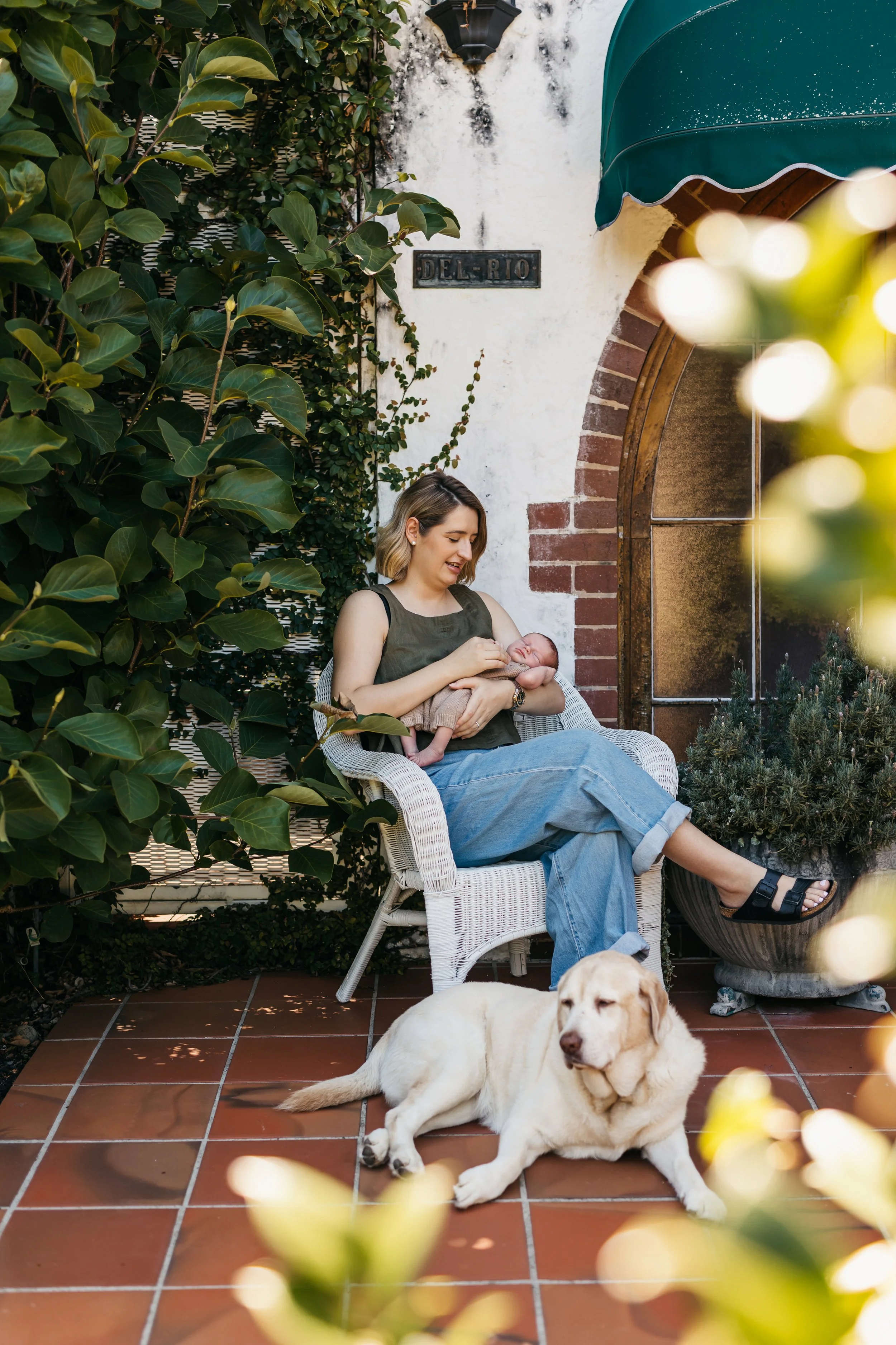 BABY BILLY-elanamullalyphotography- NOV25-29.JPG