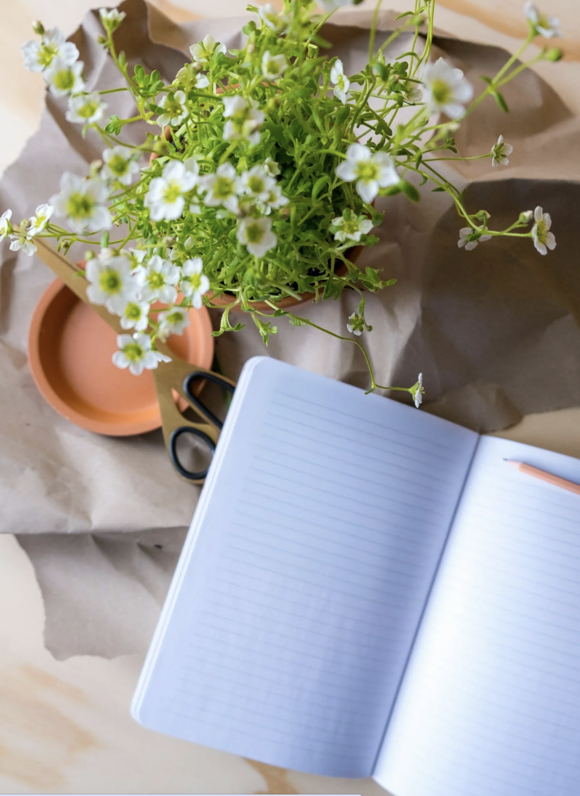 Spring Is For Sorting Yourself Out