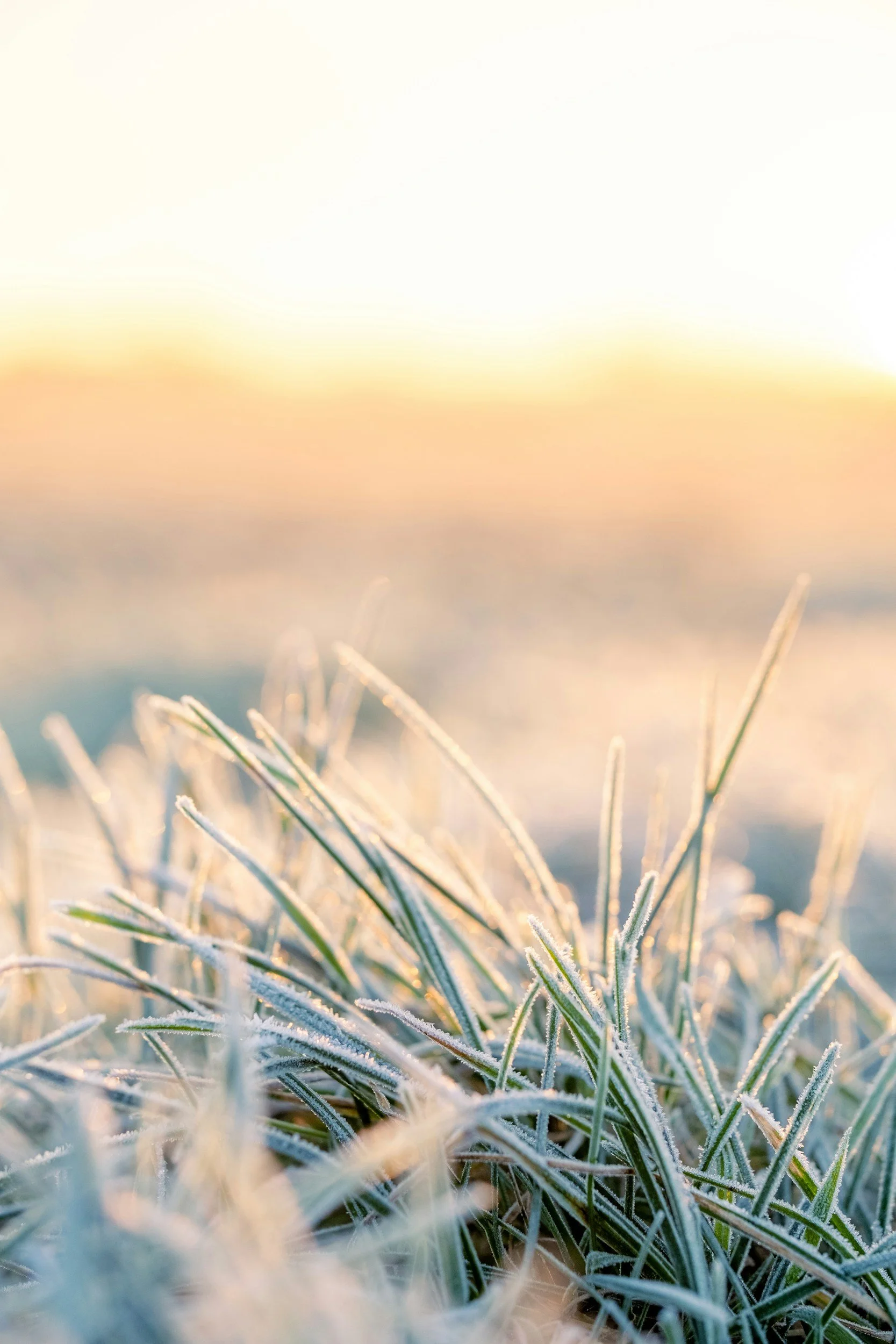 Why Winter Can Affect Your Mental Wellbeing (and What You Can Do About It!)