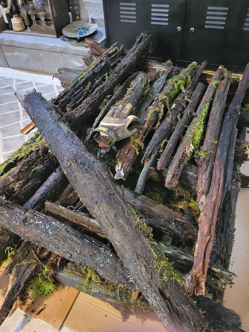 Pile of Chlorociboria logs