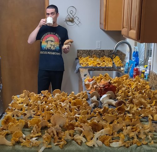 the author and a large number of clean mushrooms, mostly chanterelles