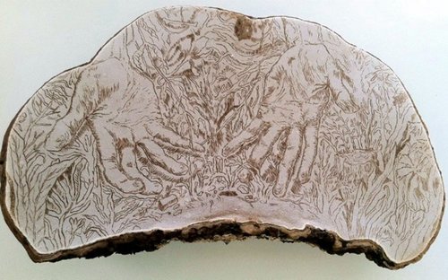 artist conk mushroom ganoderma applanatum with hands drawn in it